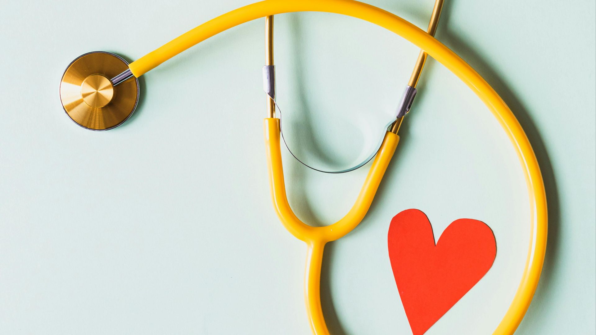 Photo By: Kaboompics.com