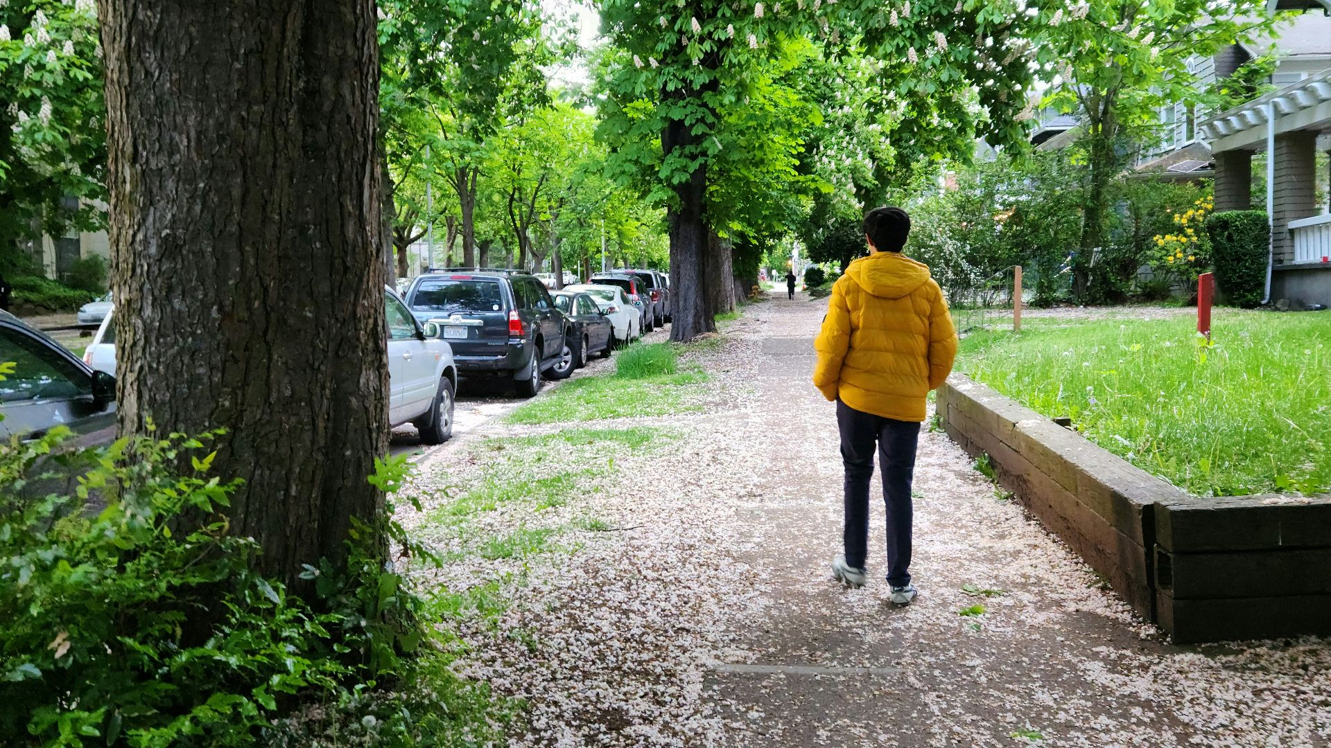 a person in a yellow jacket walking down a path