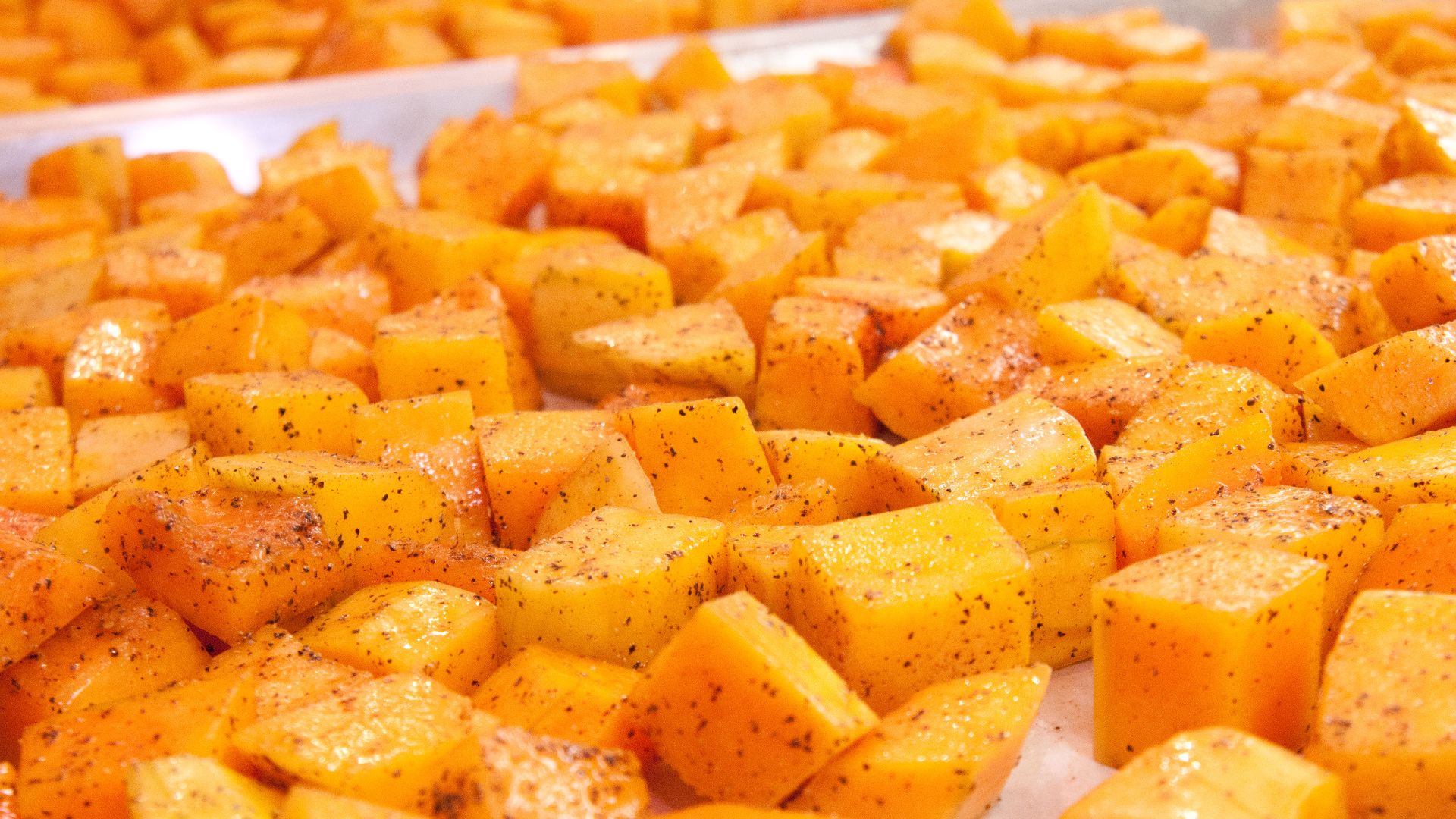 File:20111012-FNCS-LSC-0012 - Flickr - USDAgov.jpg