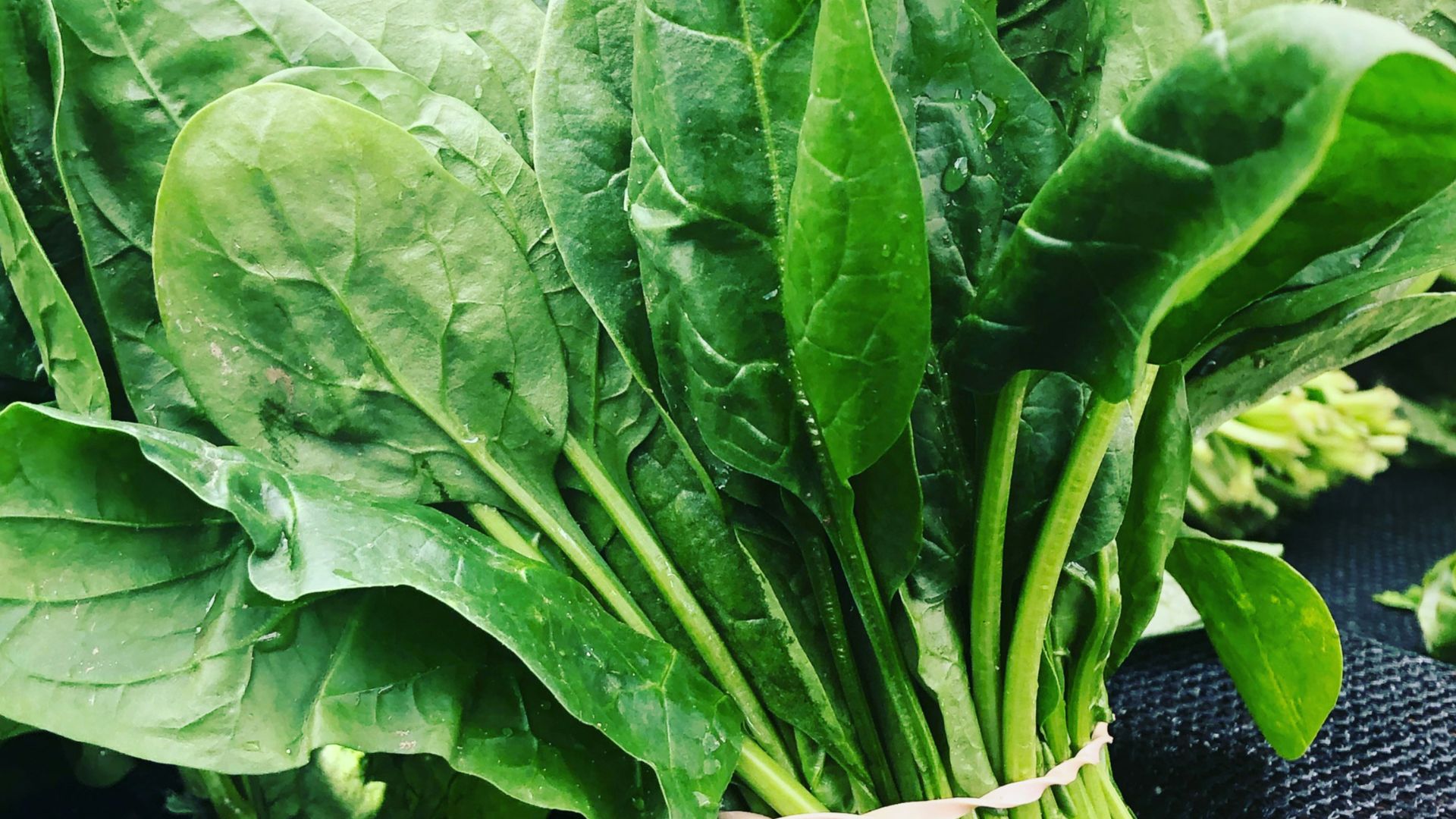 green leafy vegetables