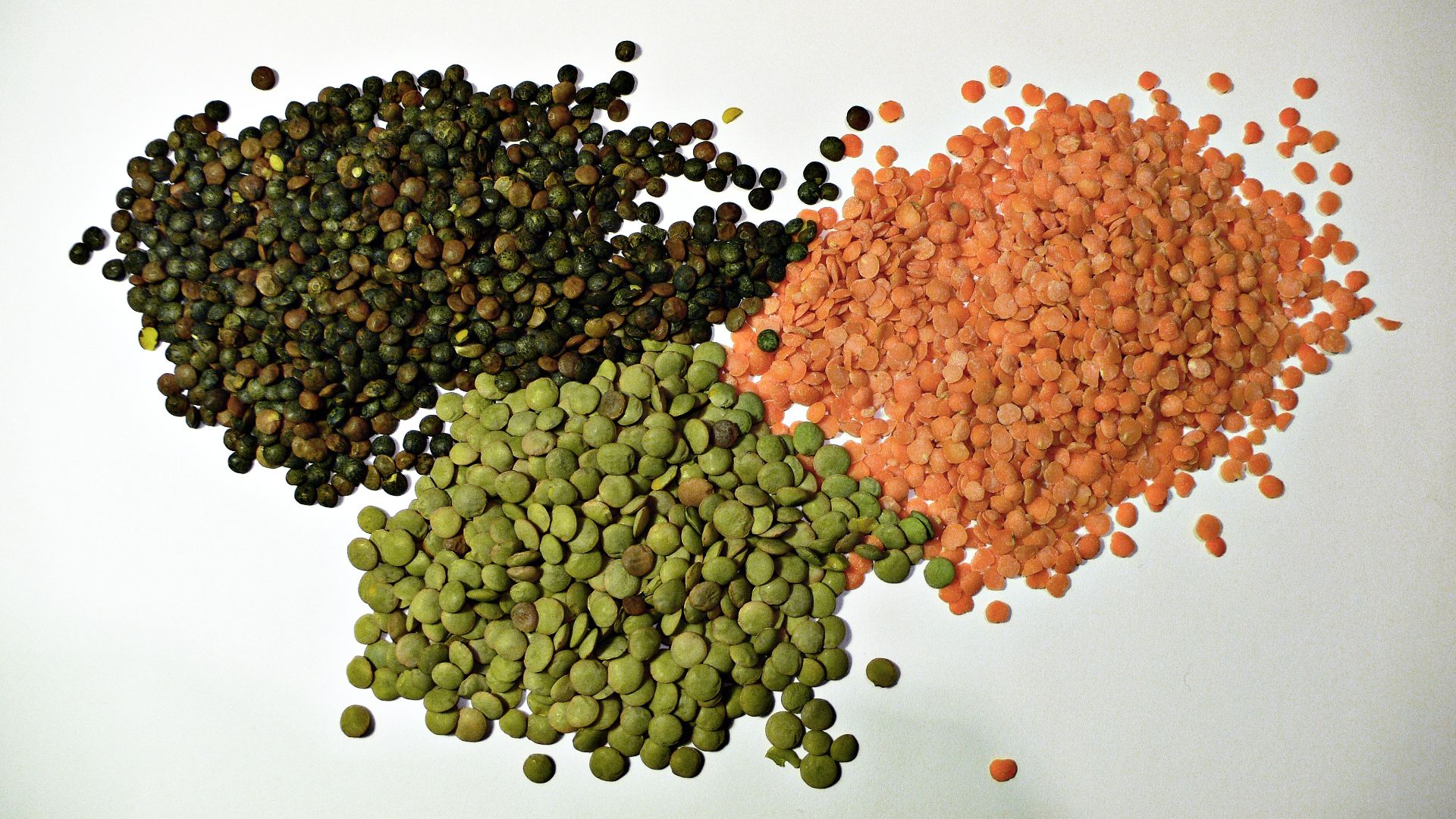 File:3 types of lentil.jpg