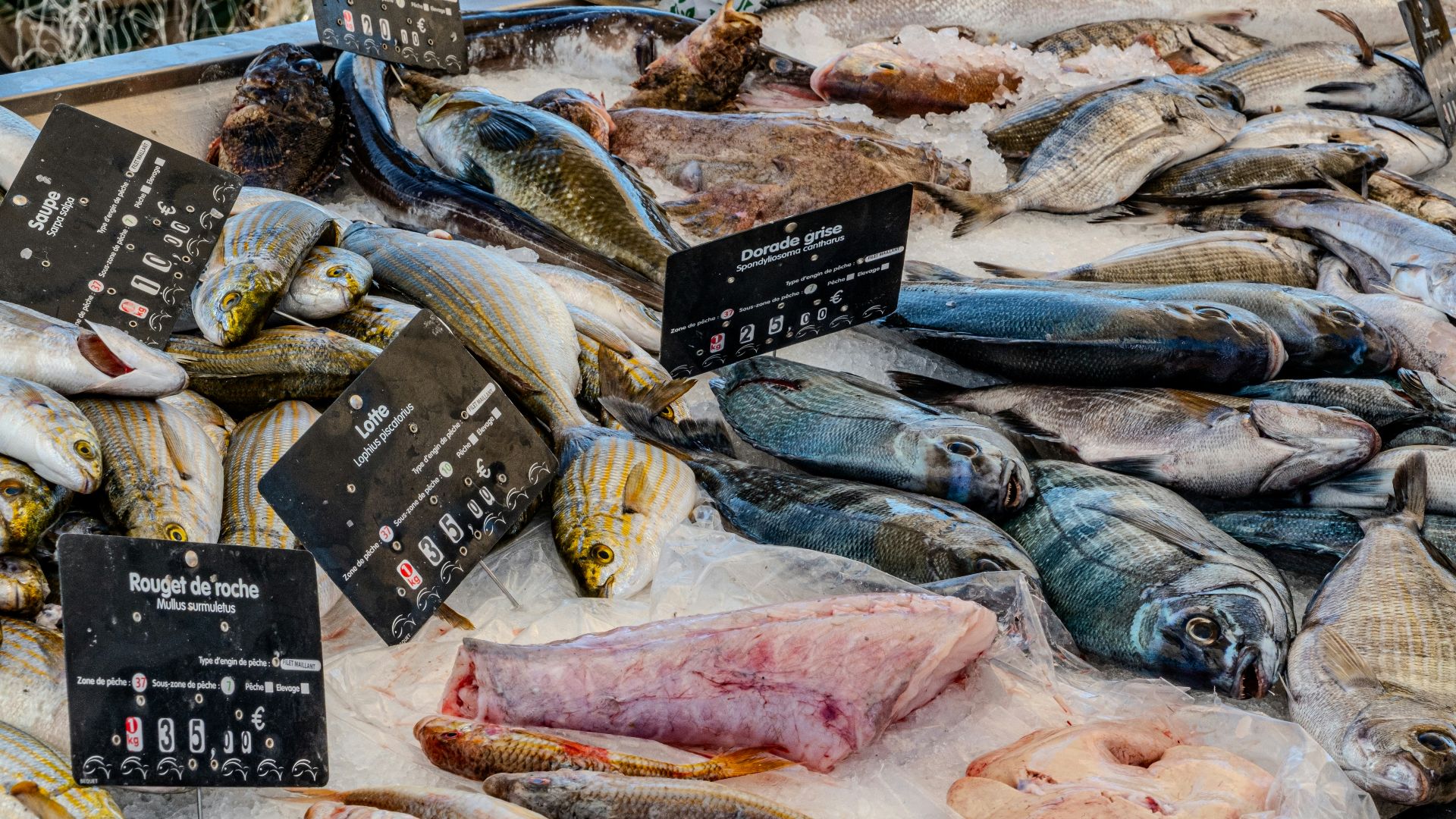 Fresh seafood is displayed on ice for sale.