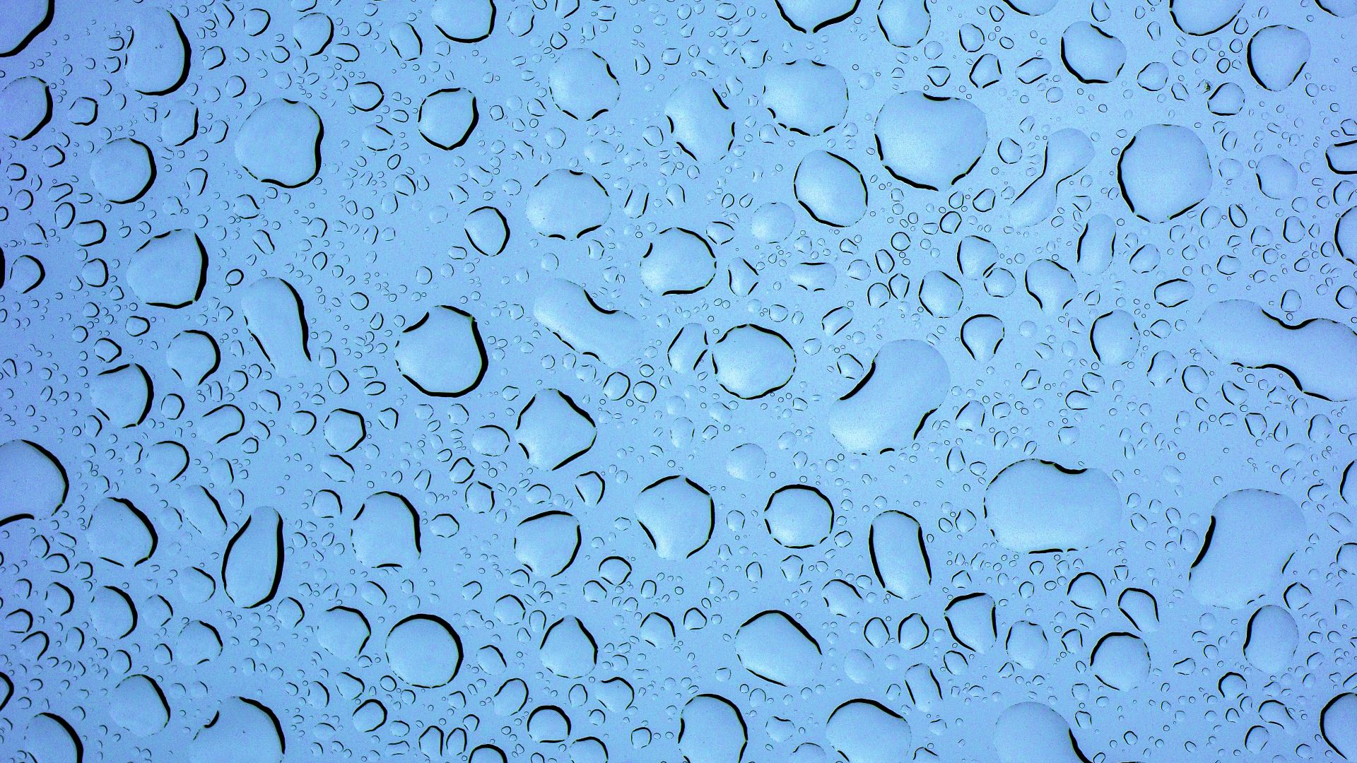 water droplets on a window