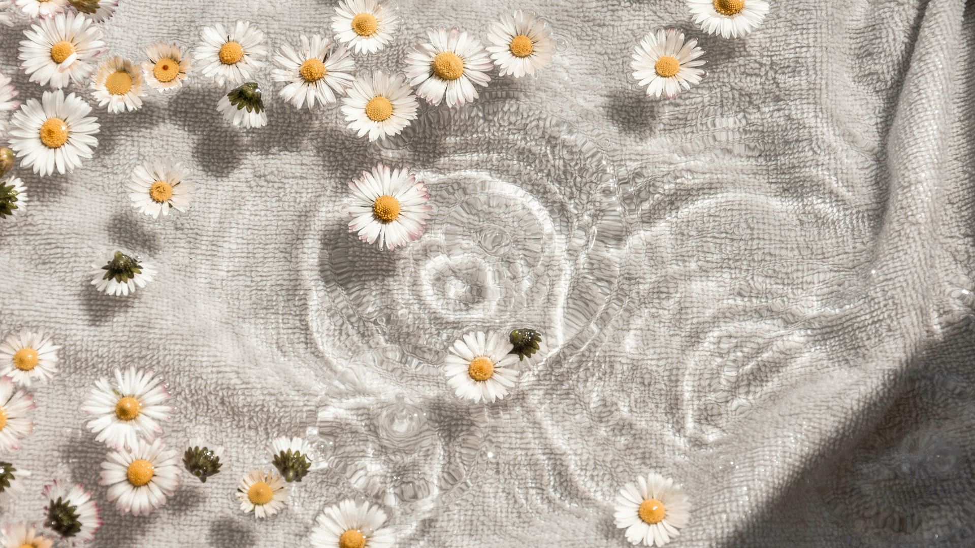 white and blue floral textile