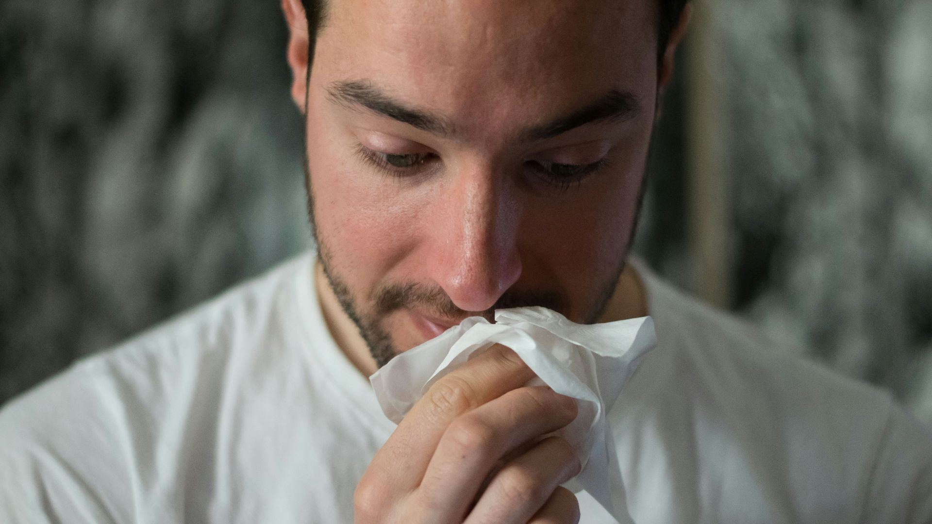 man wiping mouse with tissue paper