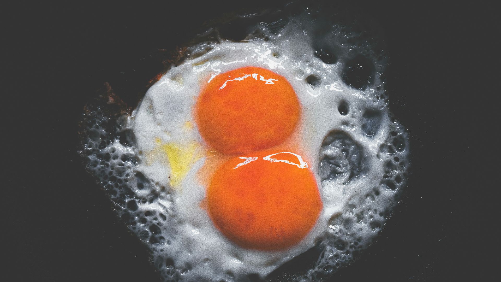 sunny side up egg on gray egg tray