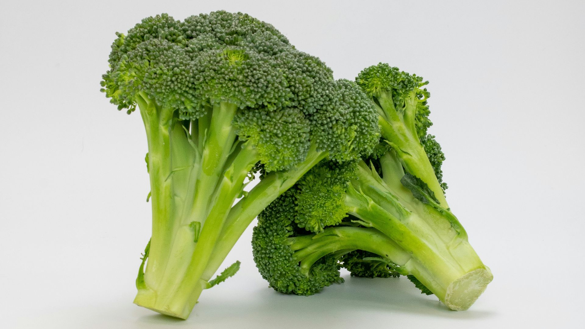 a close up of broccoli on a white background