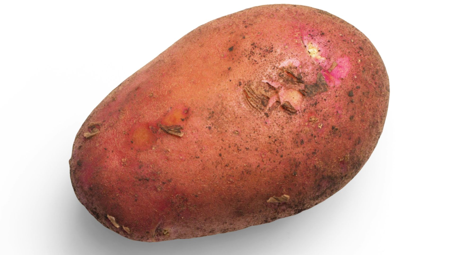 brown and red oval stone