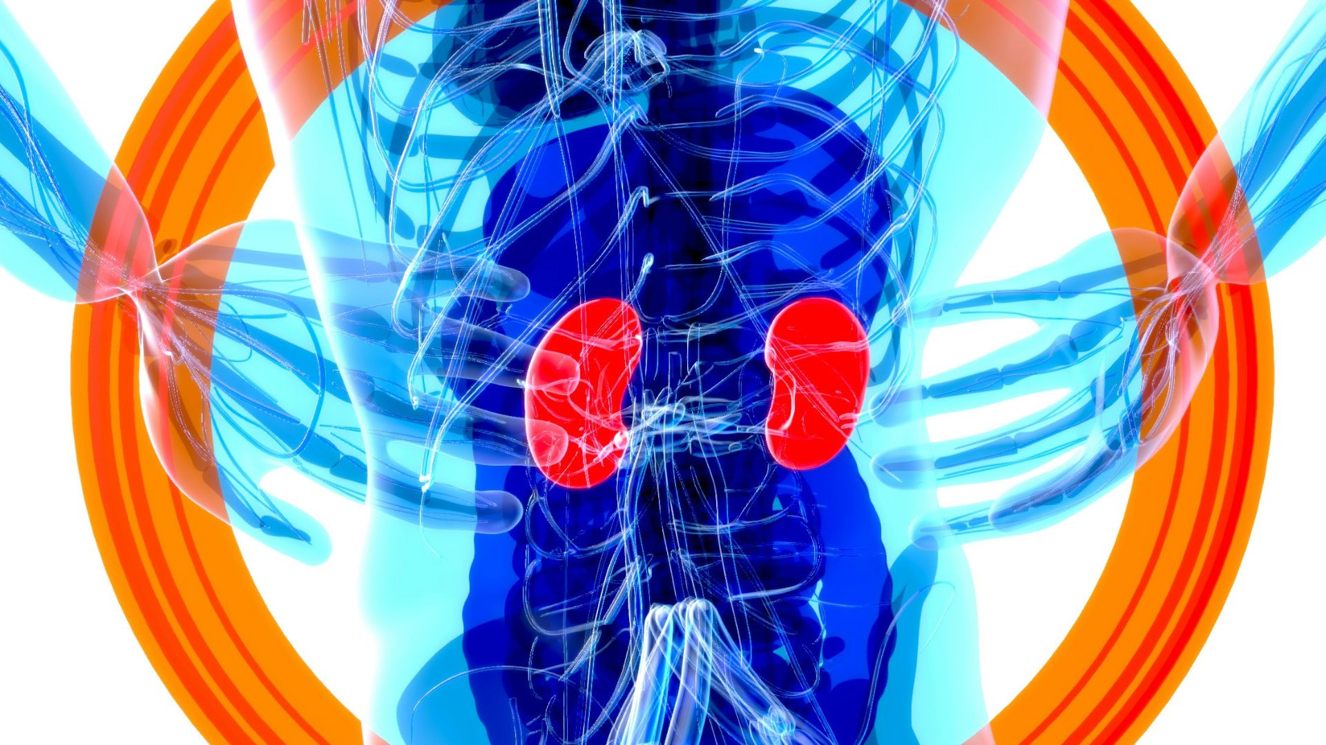 a blue and red jellyfish