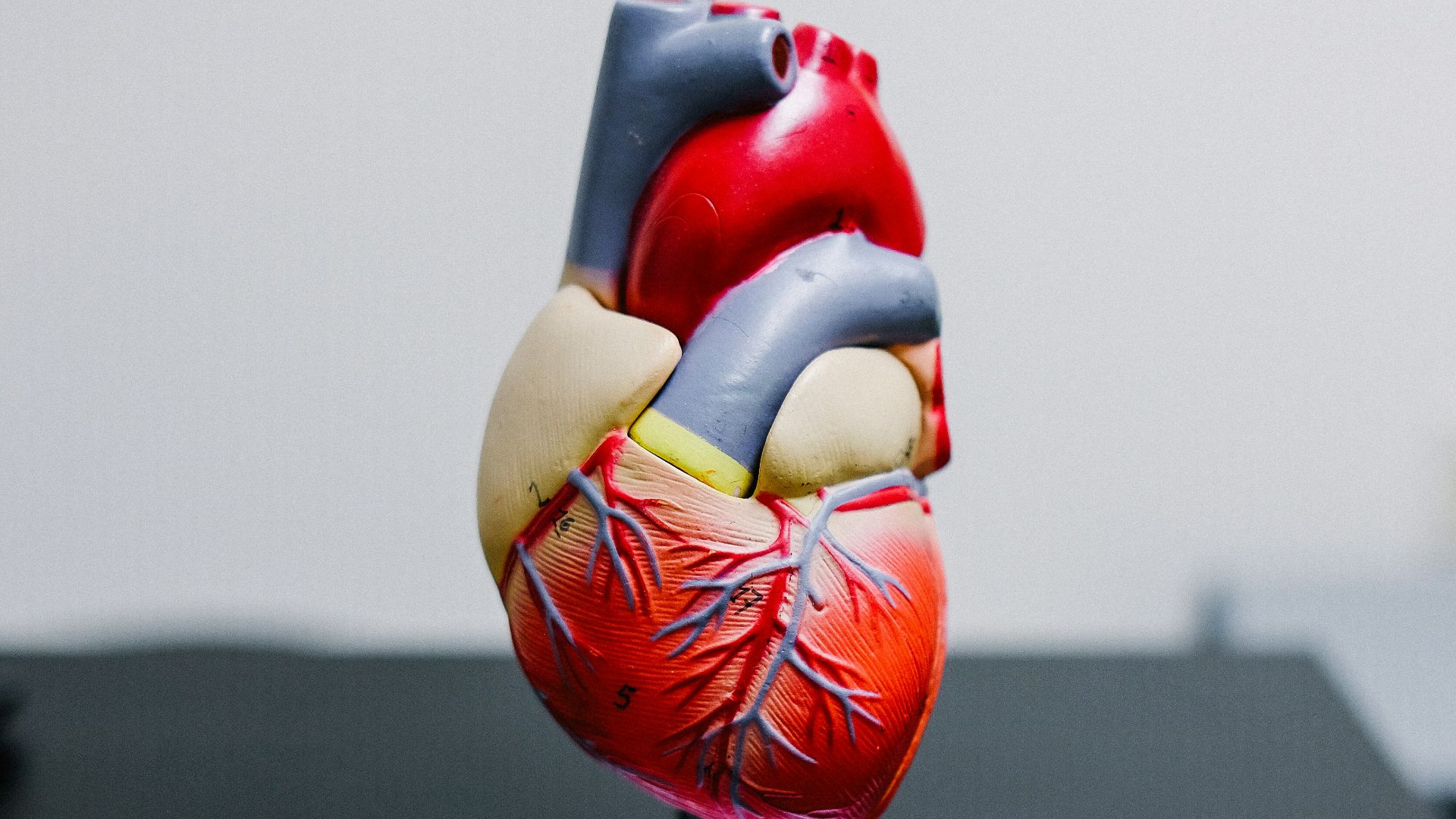 red and yellow bird figurine