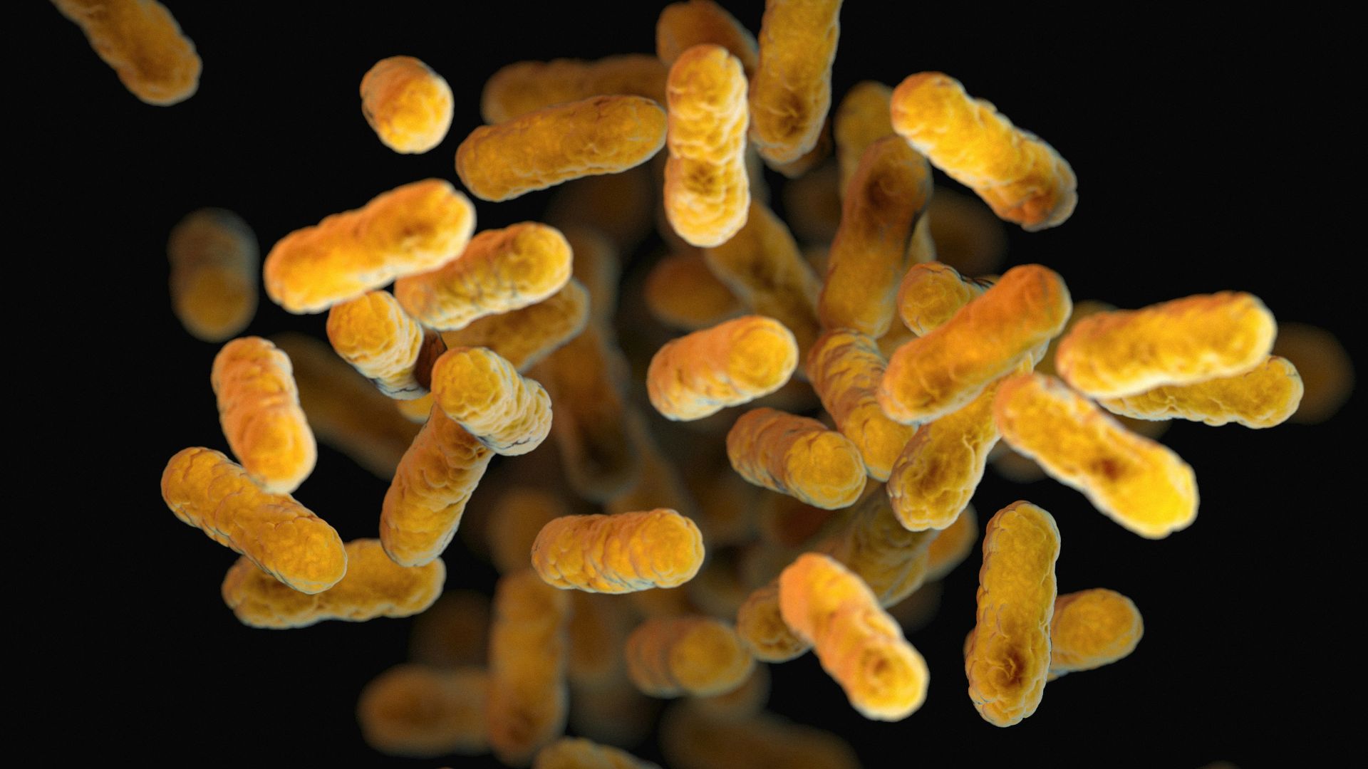 a close up of a bunch of small yellow things