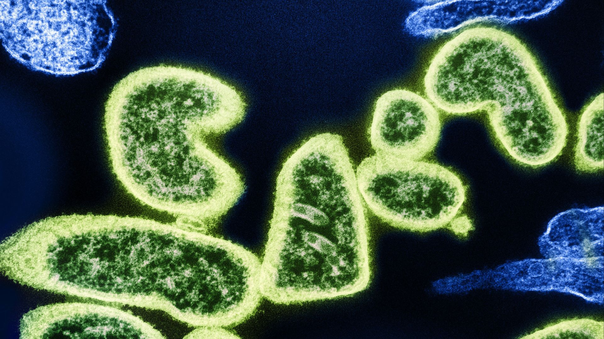 a close up of some type of substance