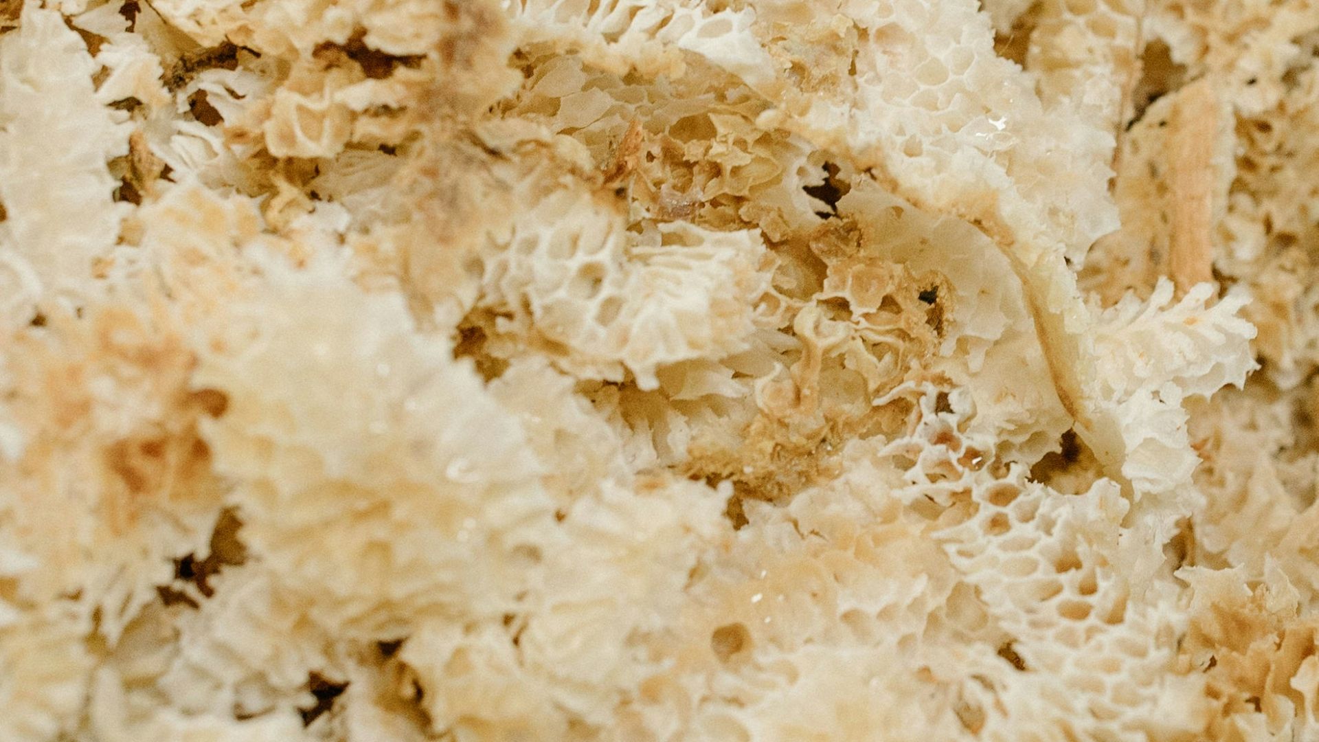 A close up of a mixture of food in a bowl