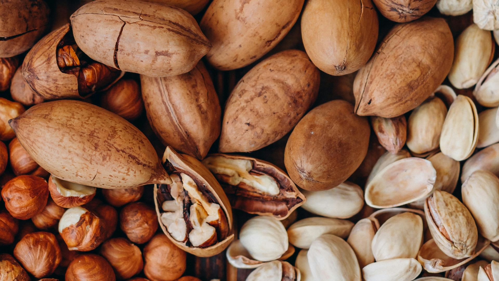 brown and beige nut lot