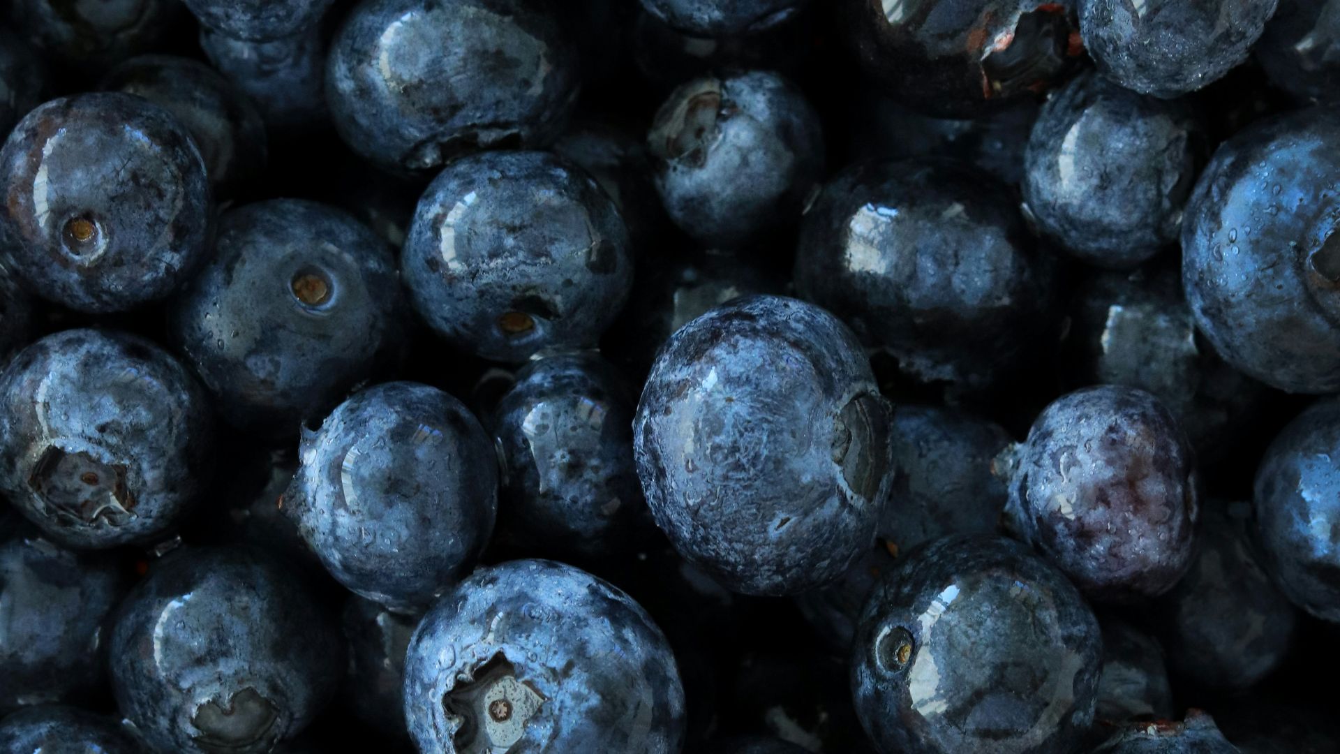 black round fruits on white background