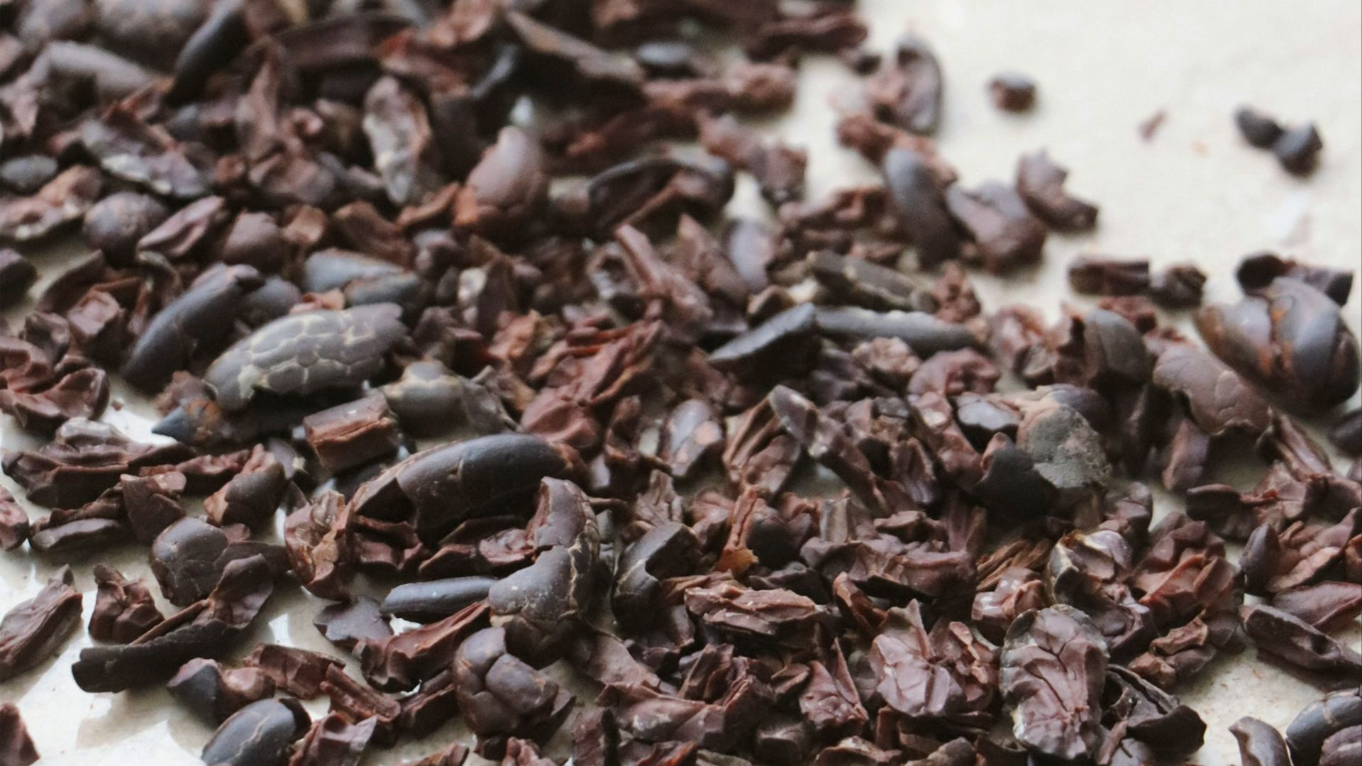black and brown seeds on white ceramic plate