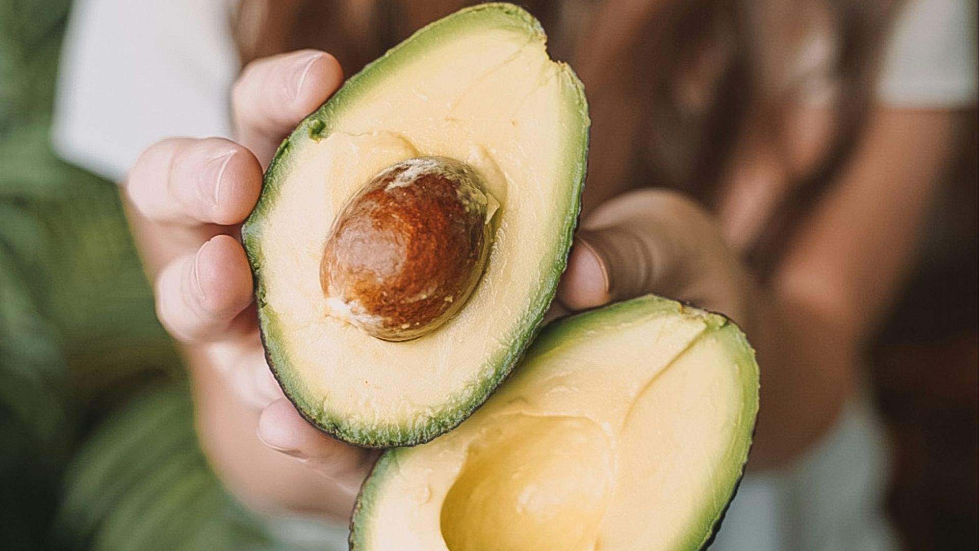 sliced avocado fruit on persons hand
