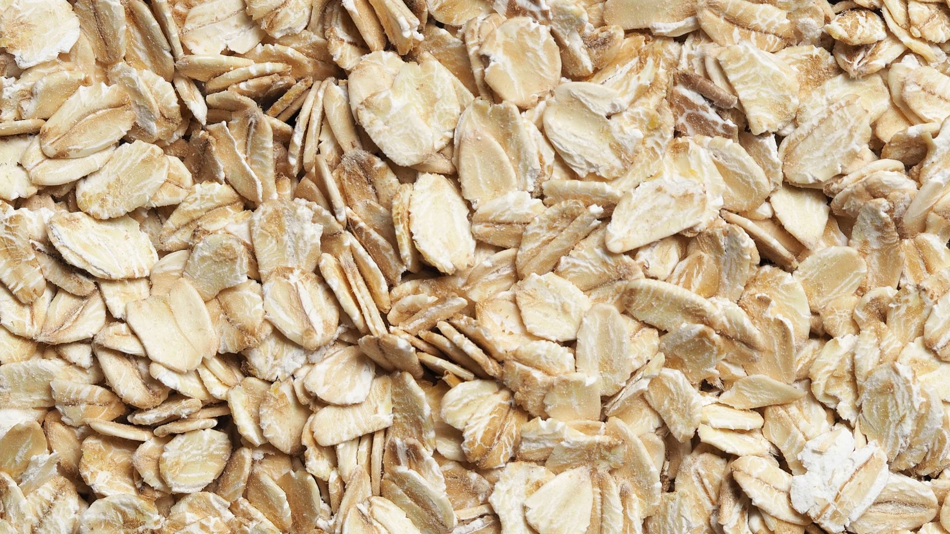 brown dried leaves on ground