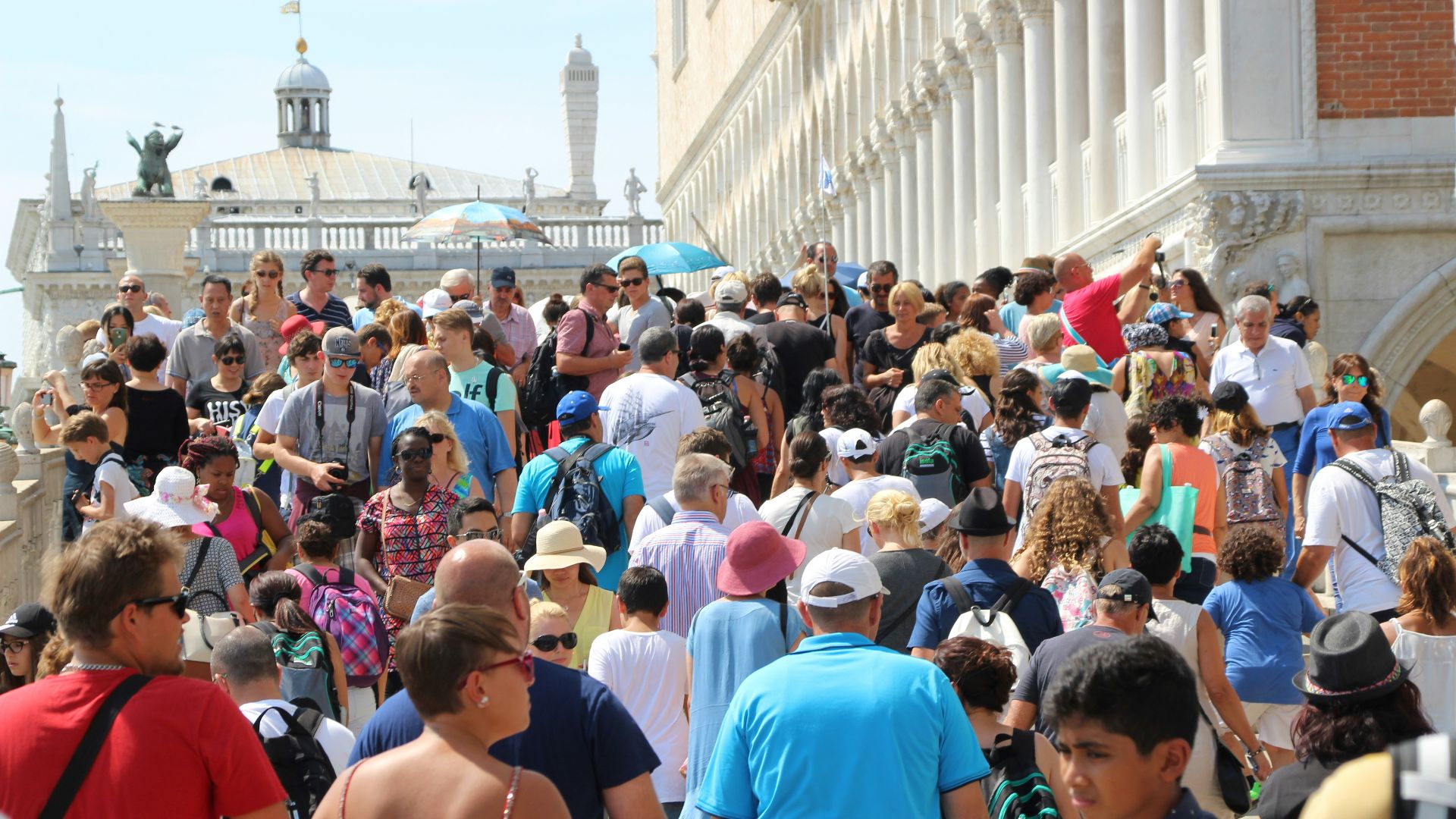 people gathering in a city during daytime