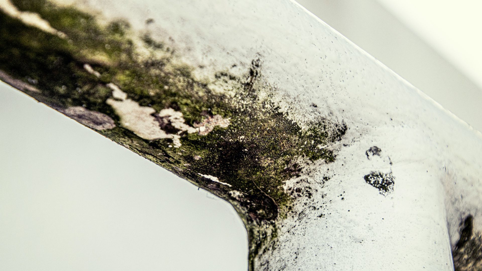 a close up of a piece of metal with moss growing on it