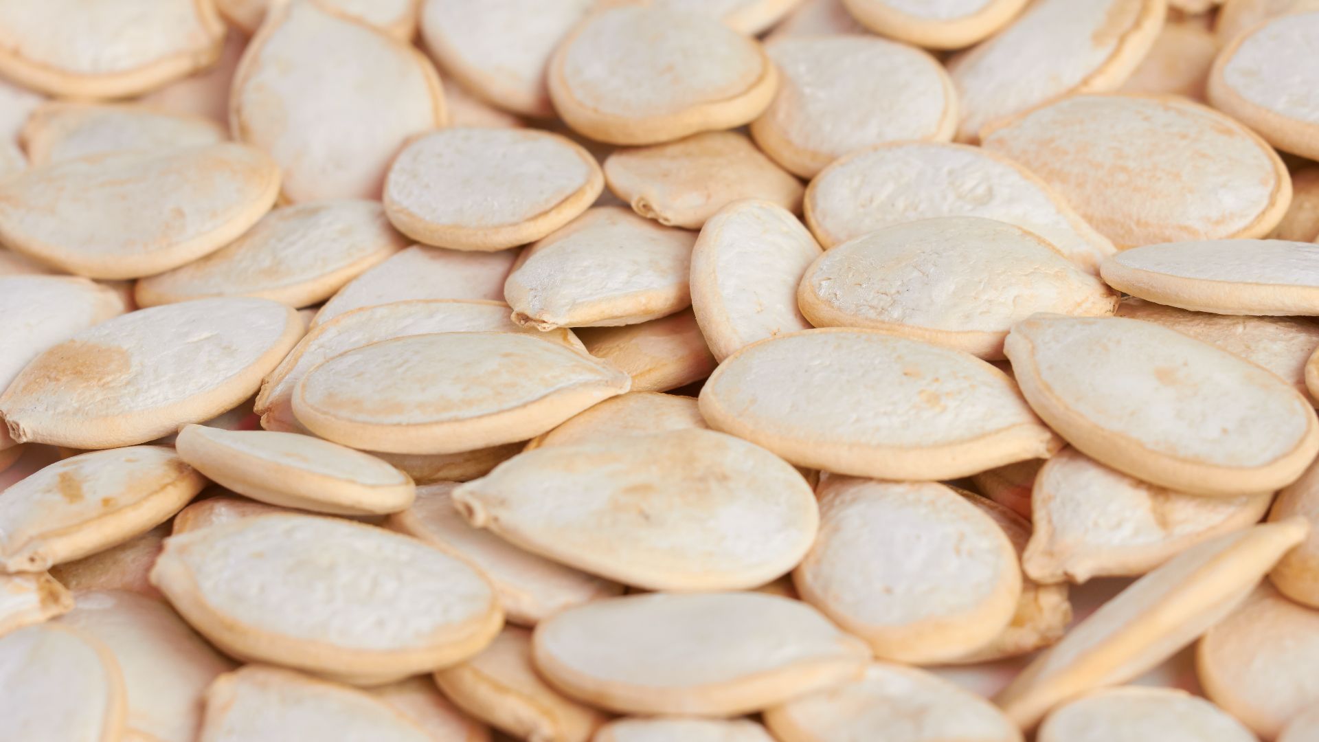 File:Pumpkin seed. img 015.jpg