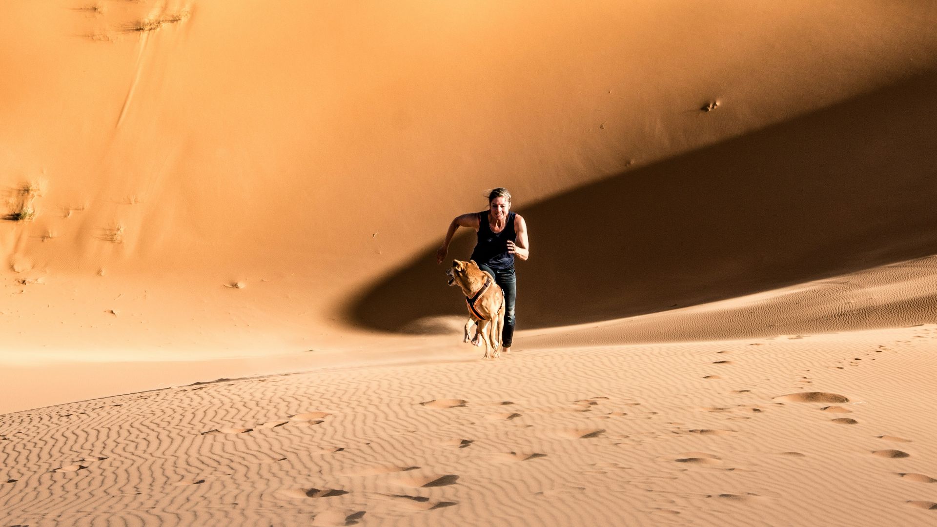man in black jacket riding on white bicycle on desert during daytime