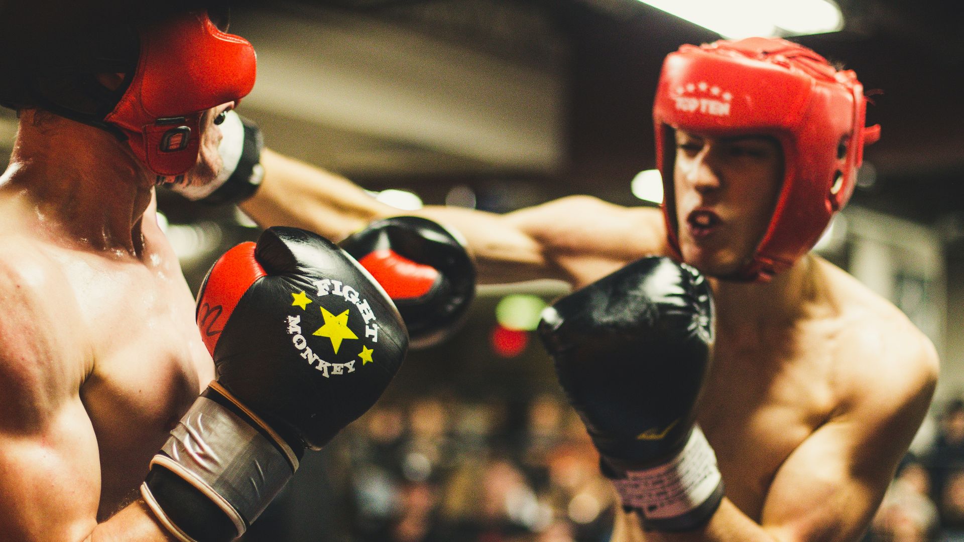 two man playing boxing