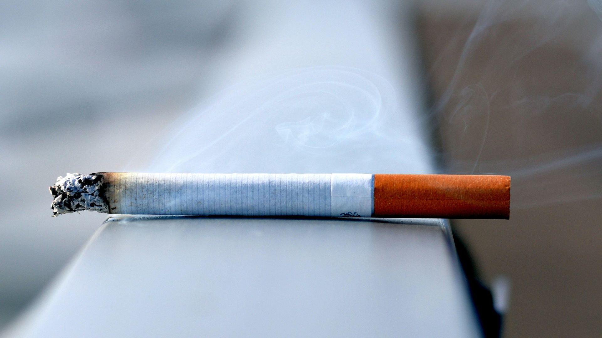 white cigarette stick on white wall