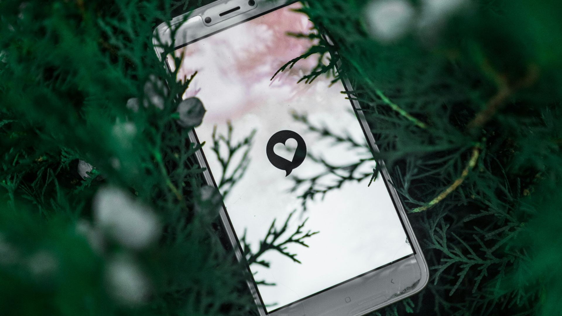 white smartphone on green grass