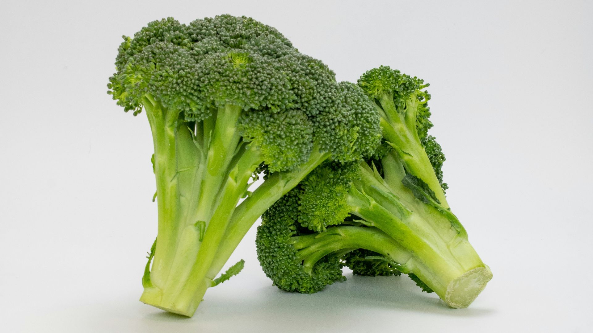 a close up of broccoli on a white background