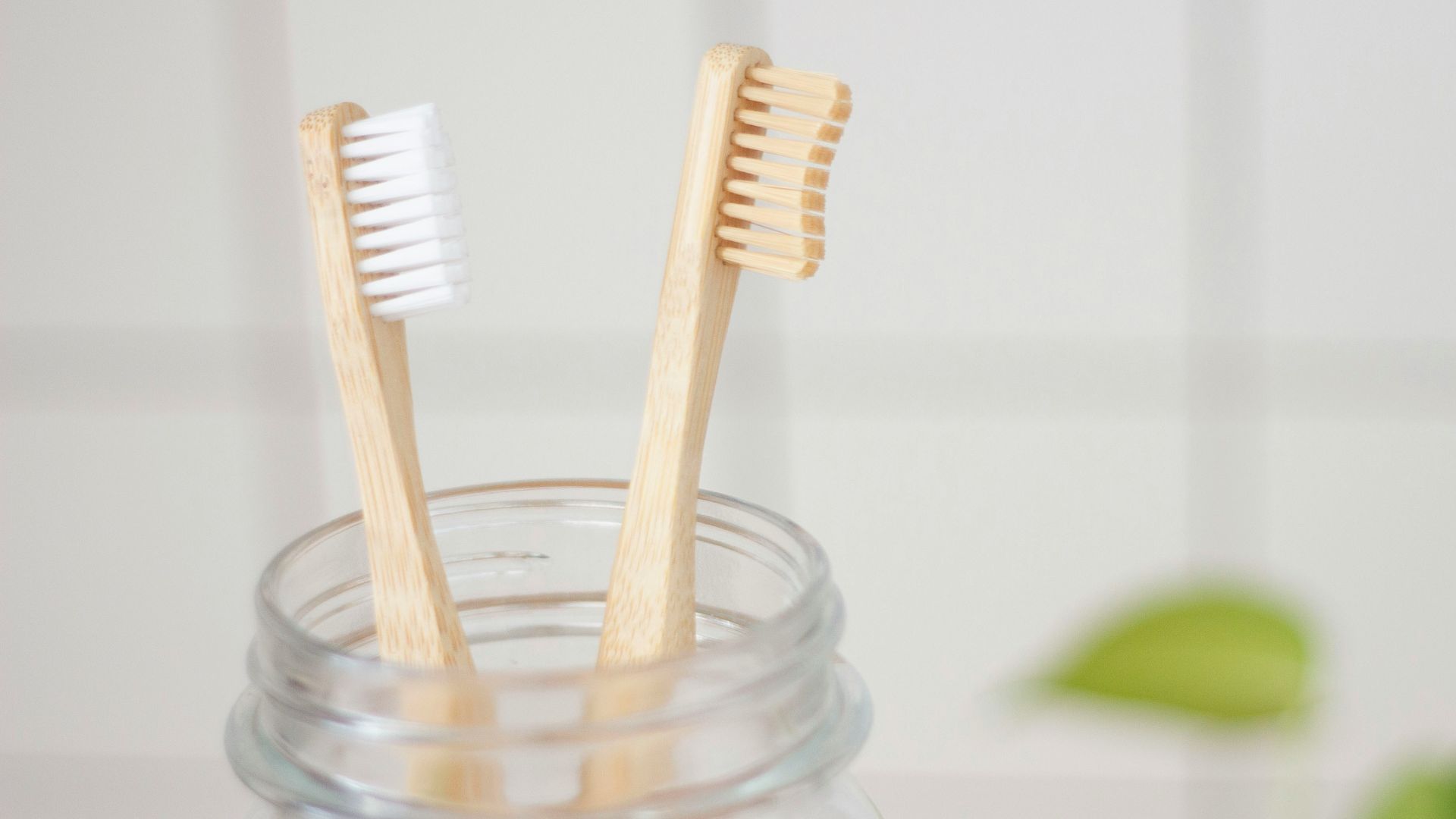 two toothbrush in mason jar