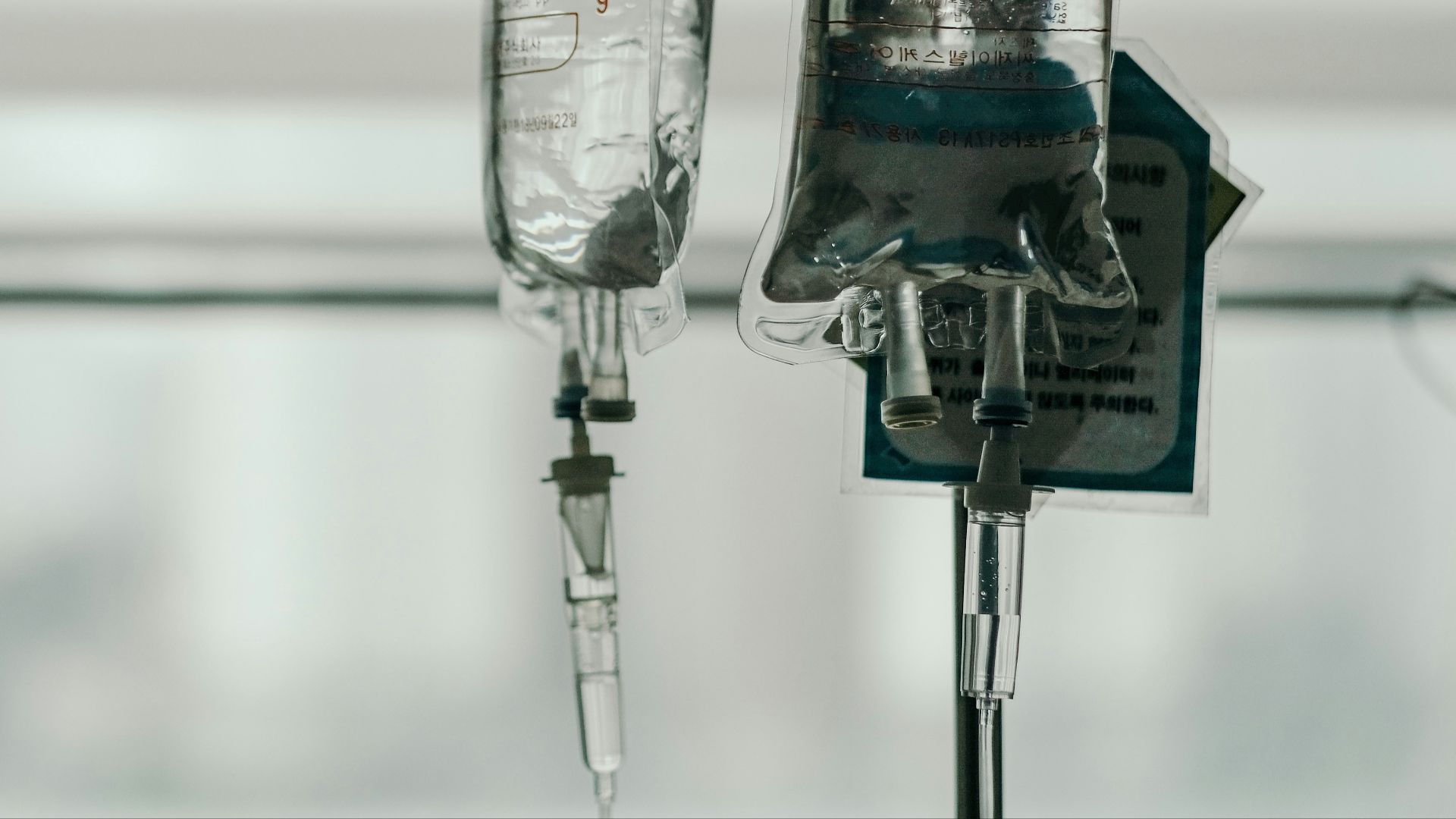 blue and black water dispenser