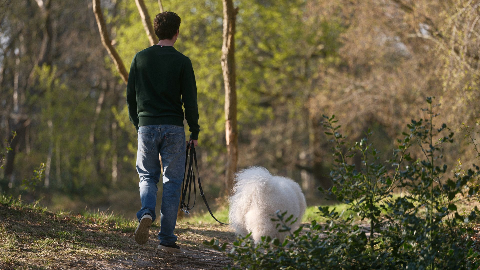 A man walks a dog in the woods.