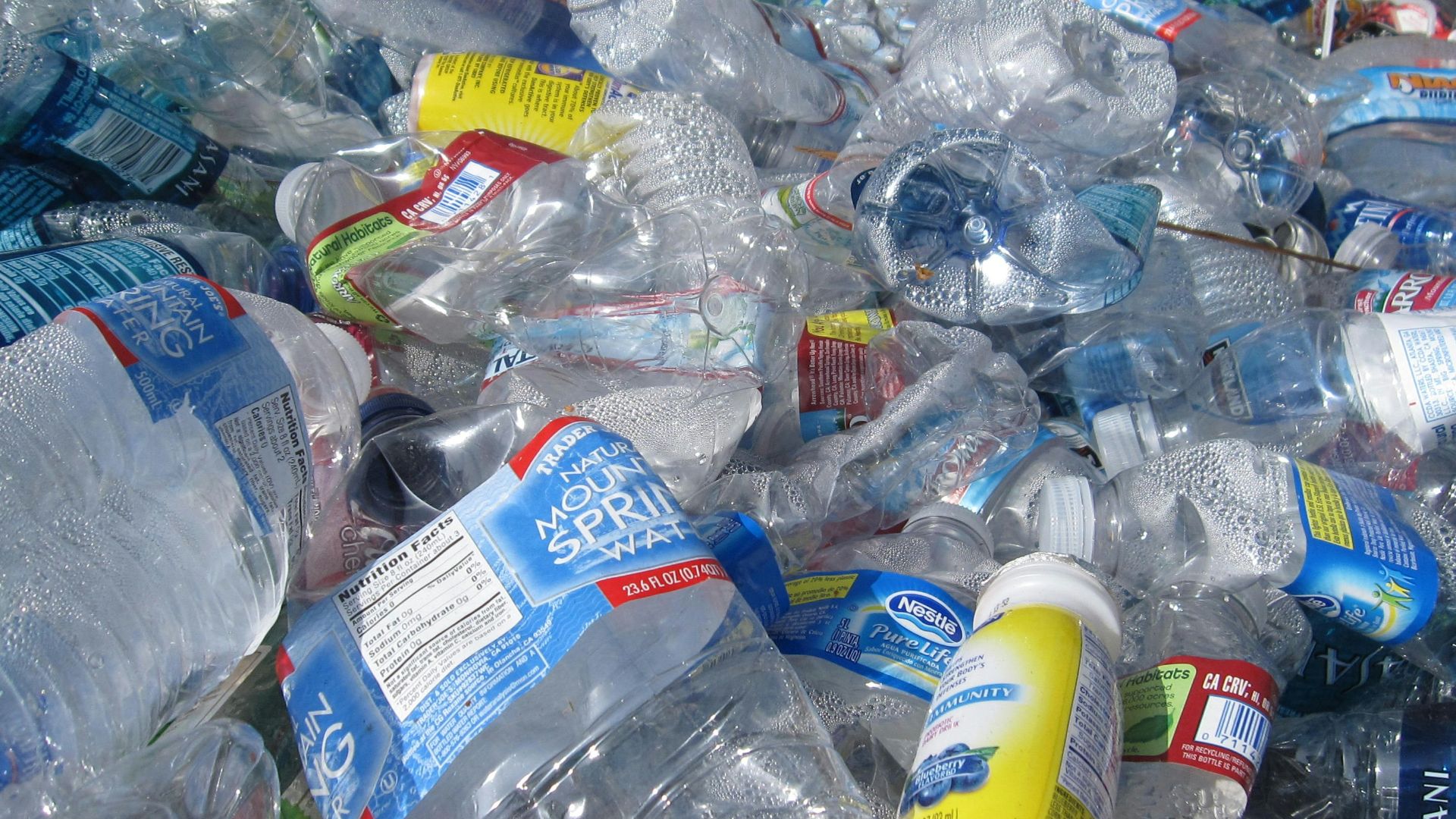 blue labeled plastic bottles