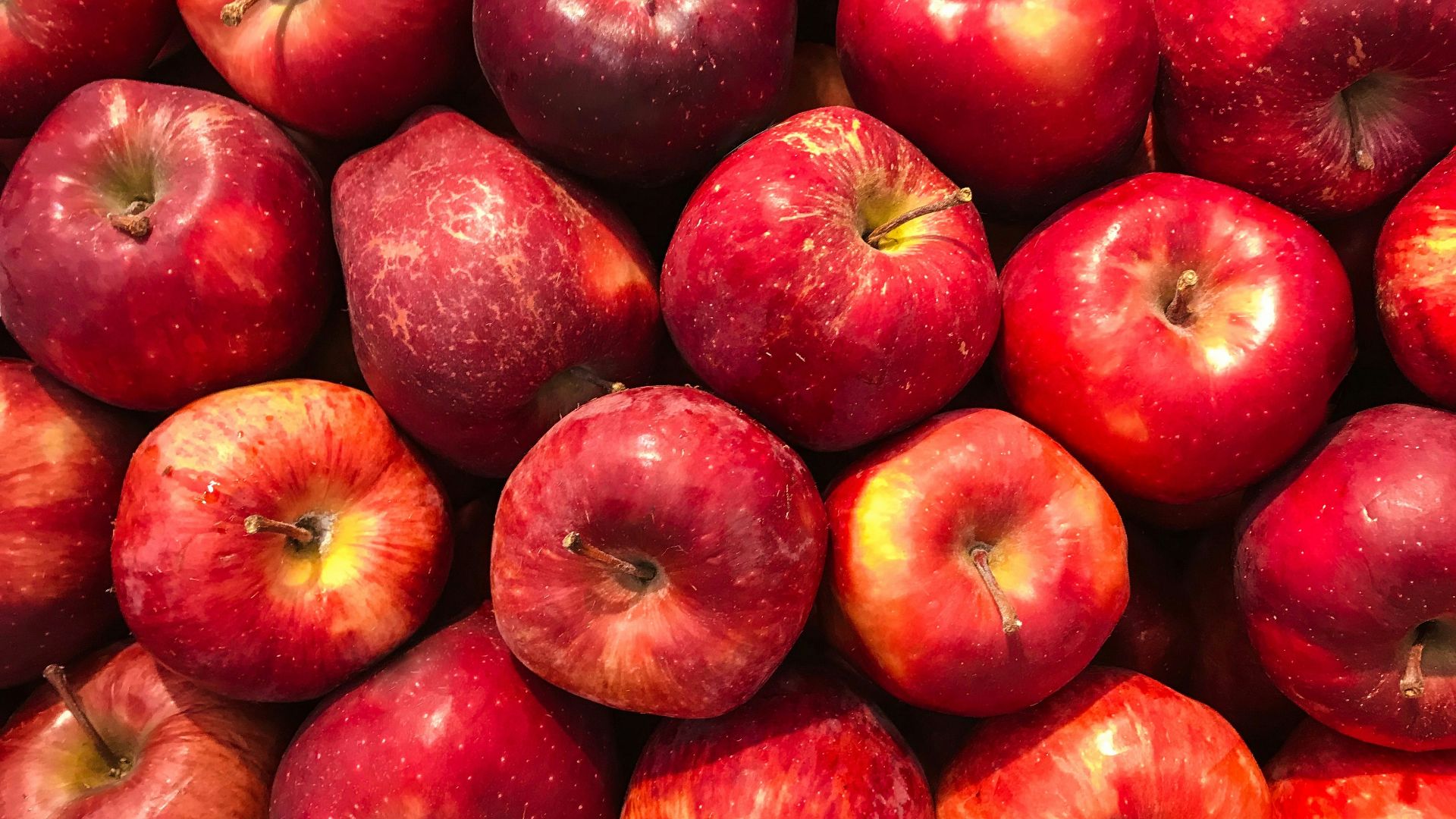 bunch of red apples