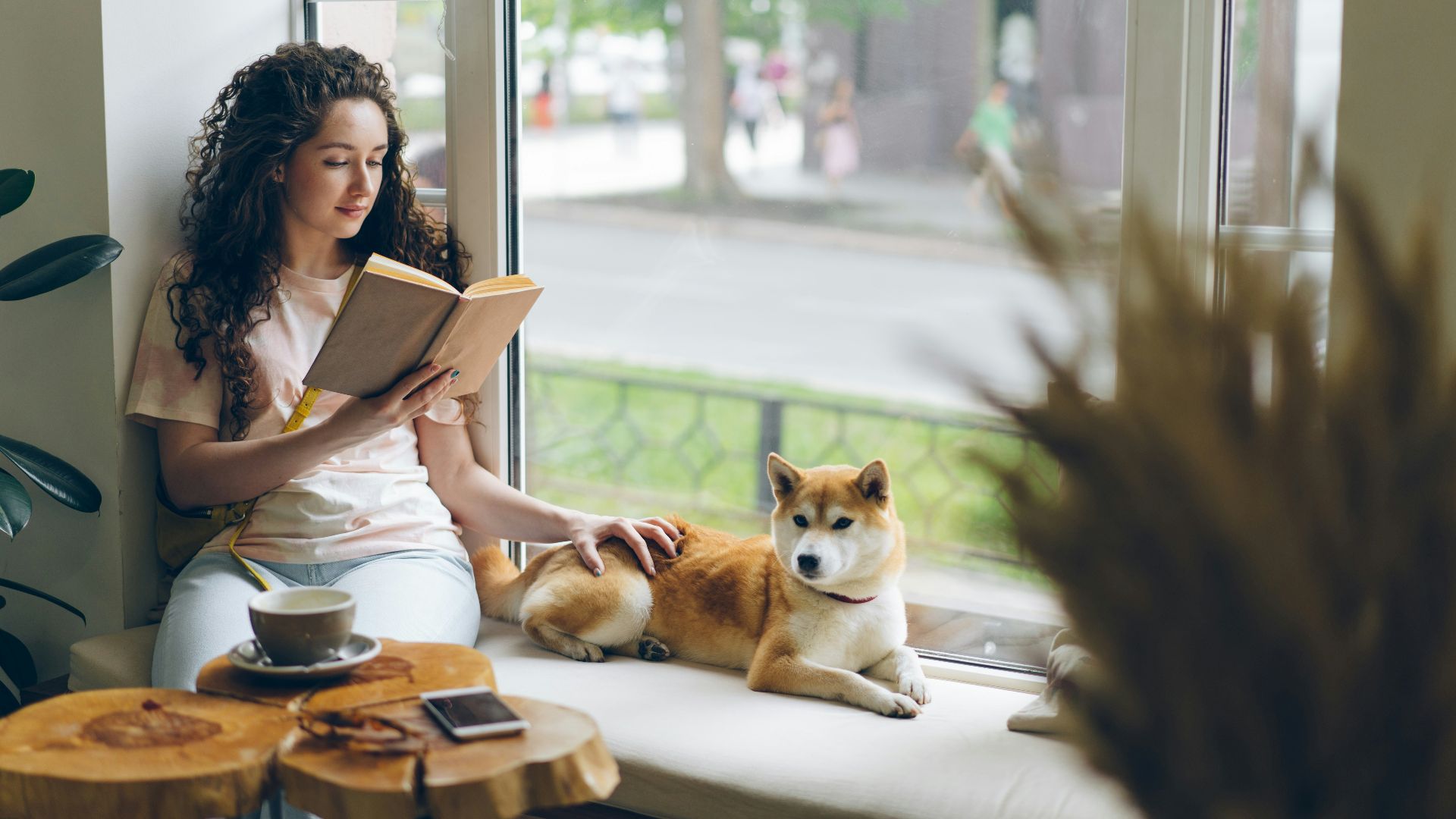 a woman sitting on a window sill reading a book next to a dog