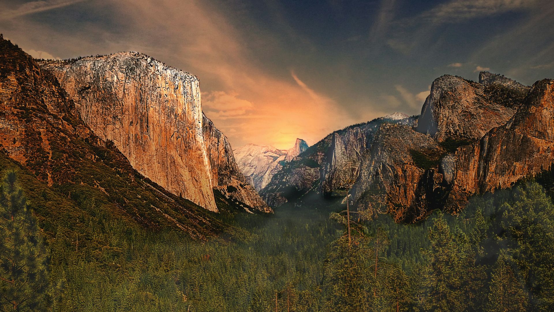 green forest near the mountains