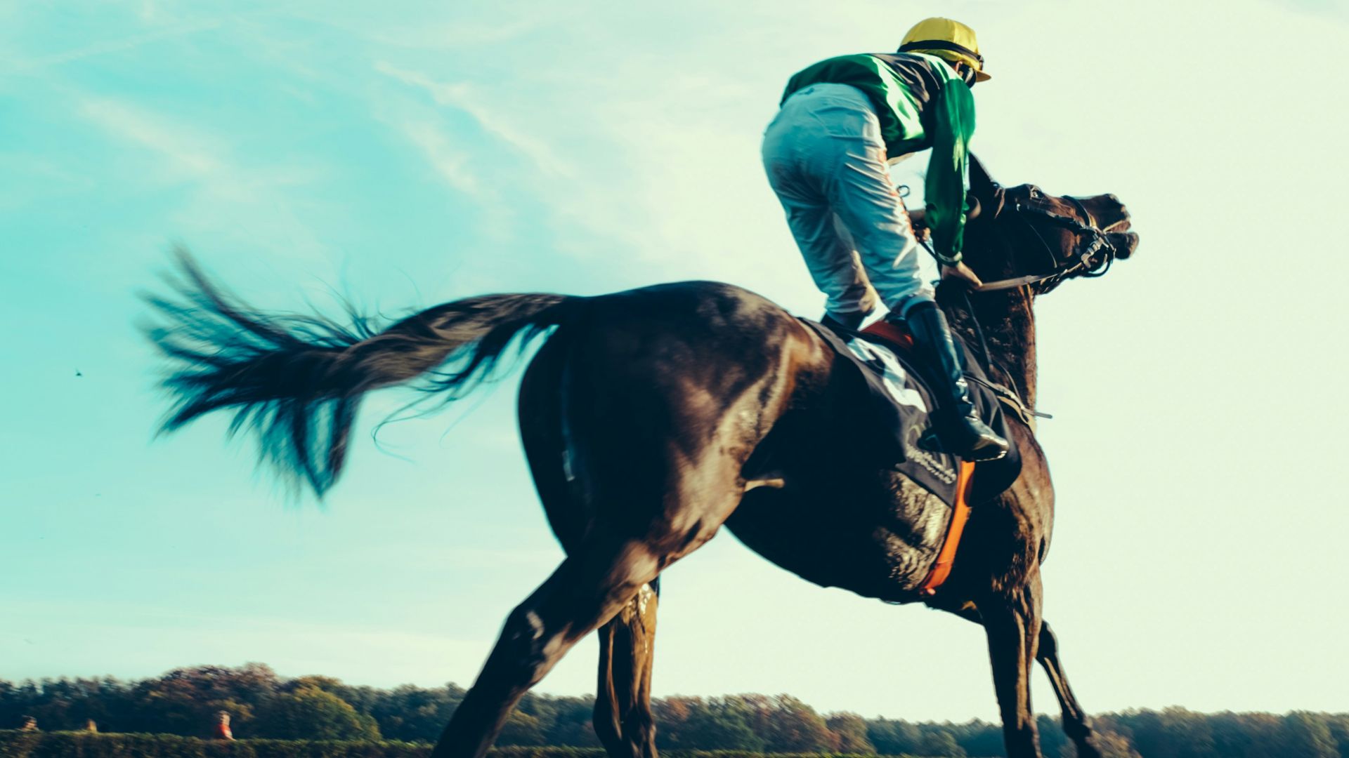 a jockey riding a horse in a grassy field