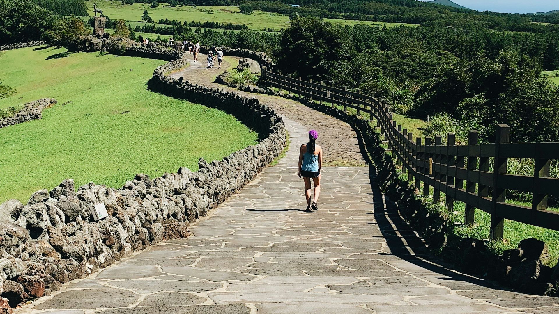 person walking towards trees during daytime