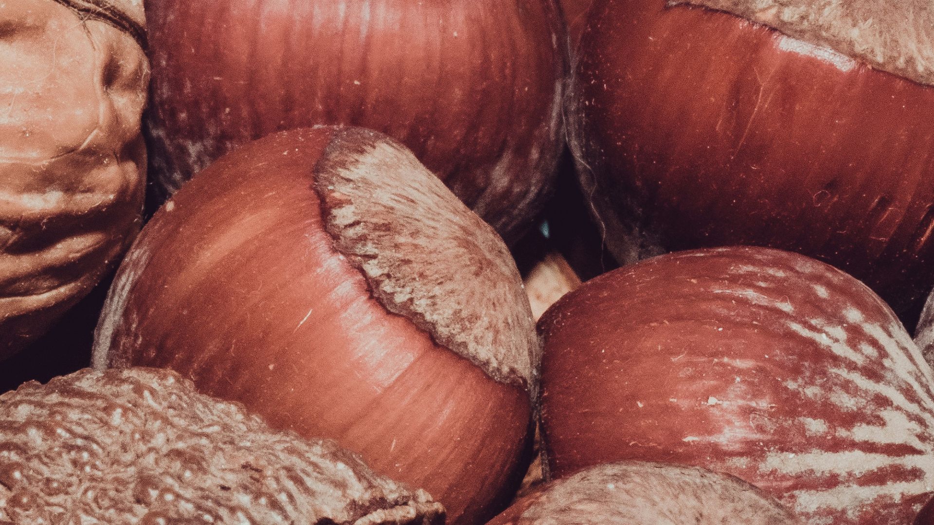 A close up of a bunch of onions
