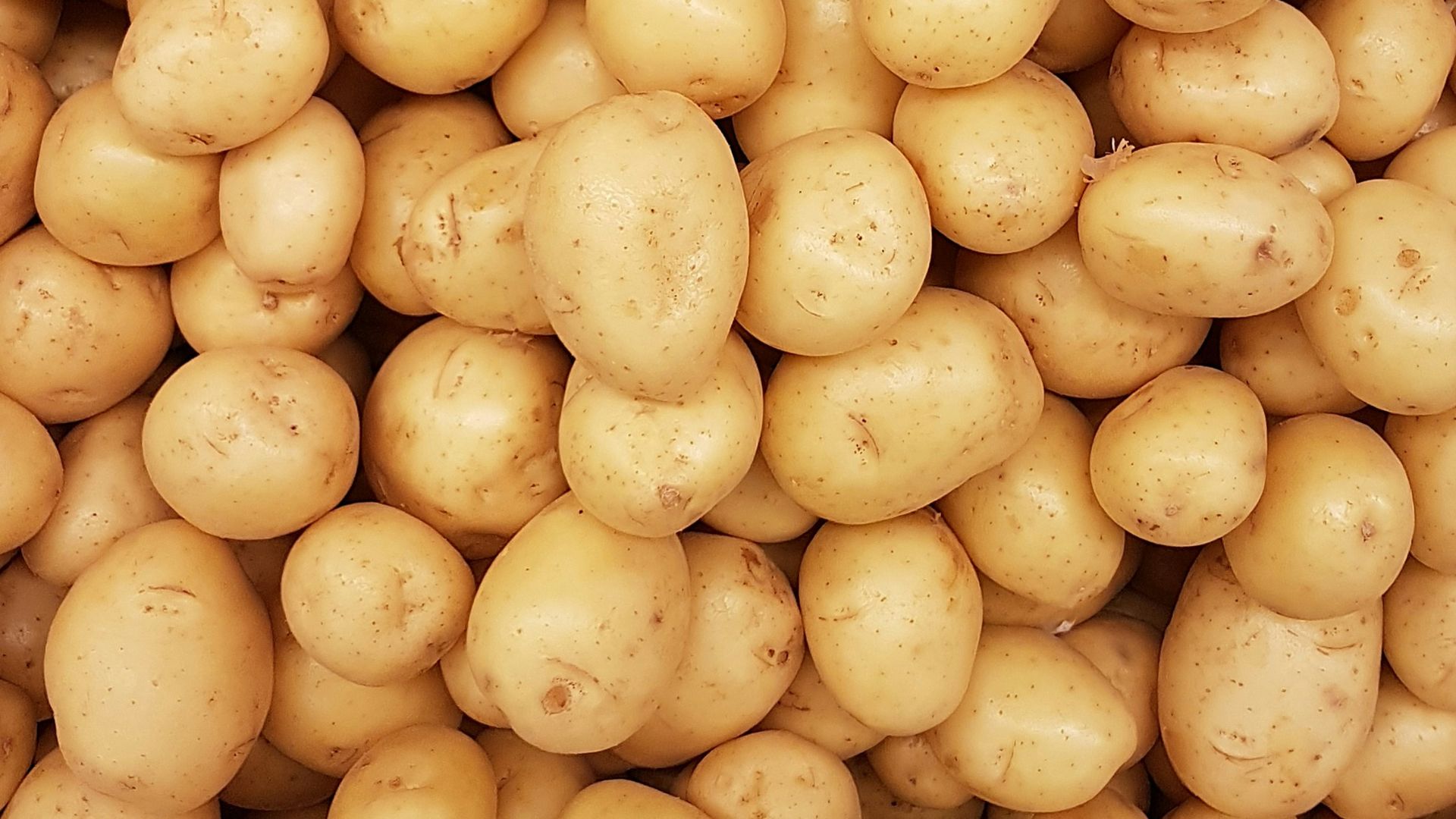 yellow round fruits on white surface
