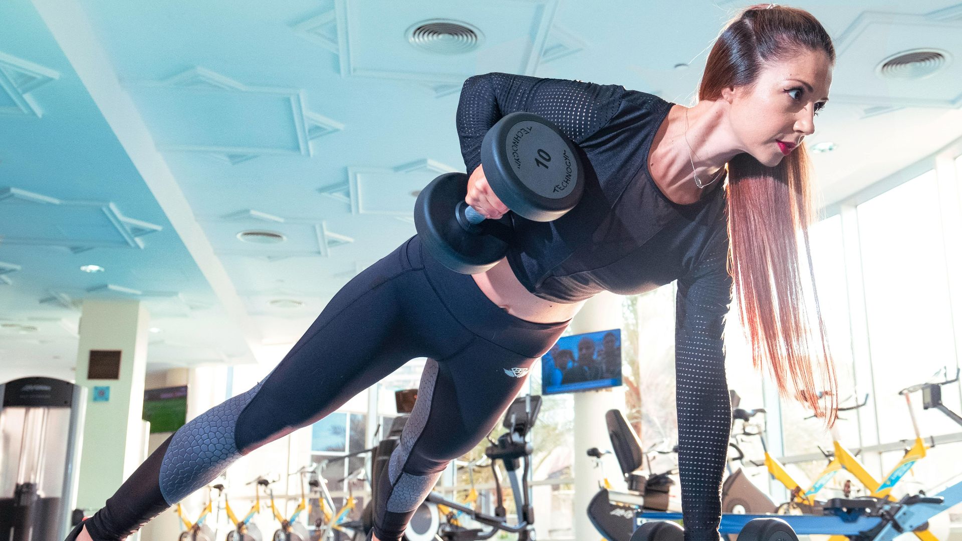 The Lazy Artist Gallery