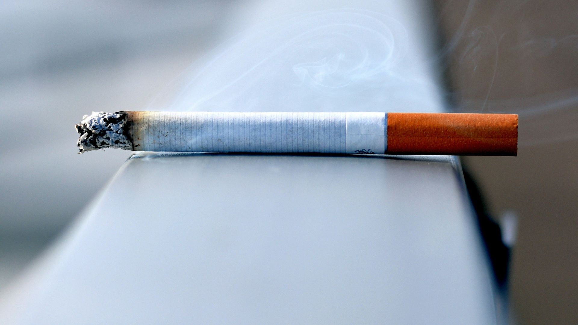 white cigarette stick on white wall
