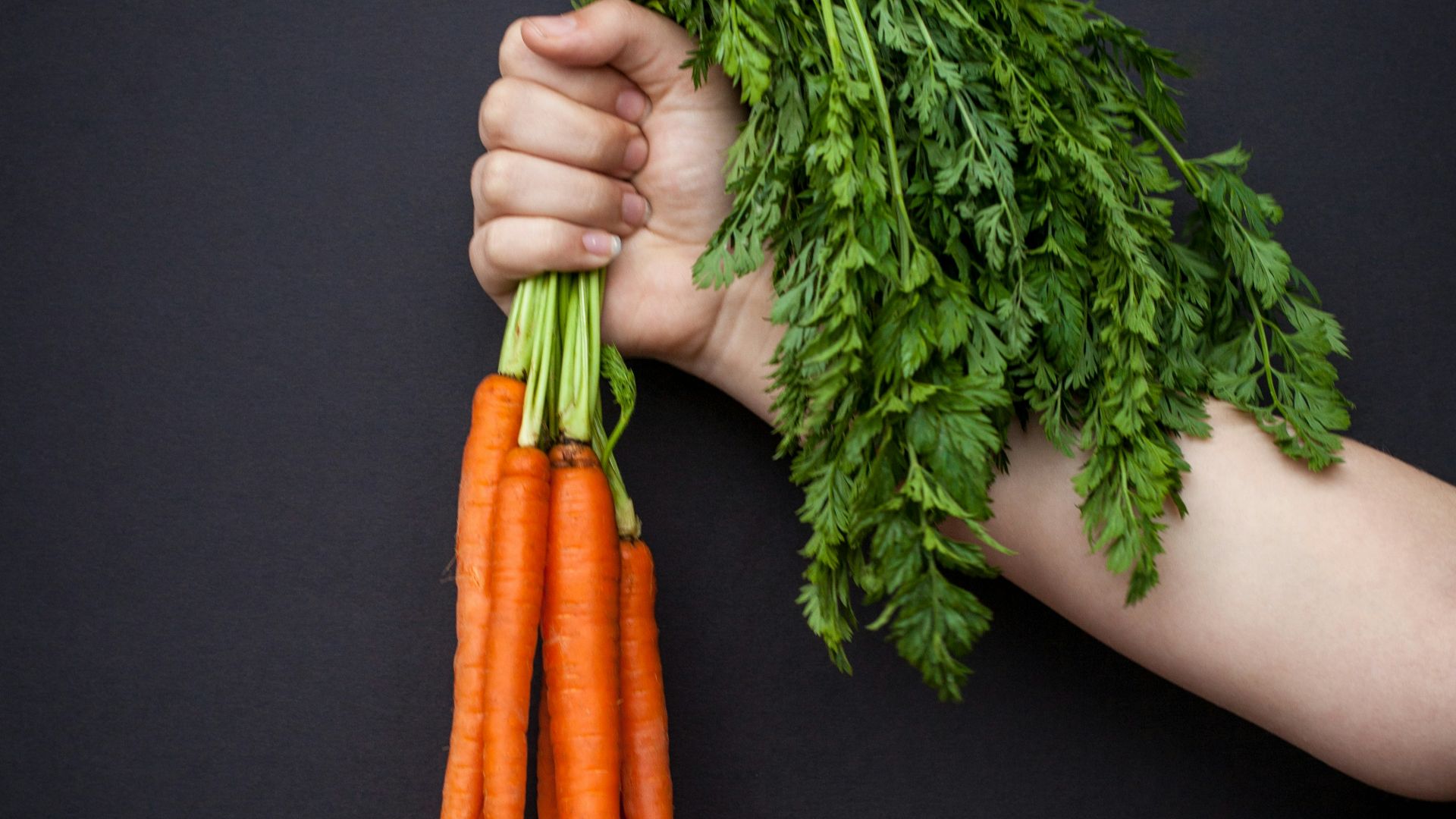 person holding carrots
