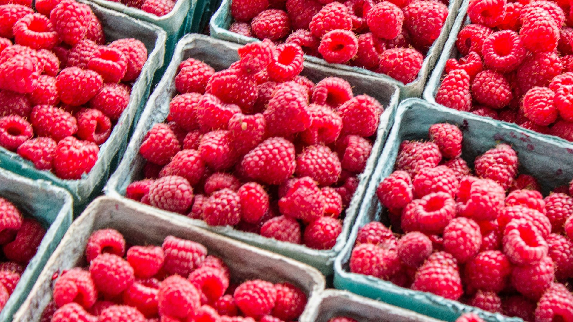fresh raspberries are displayed in trays for sale