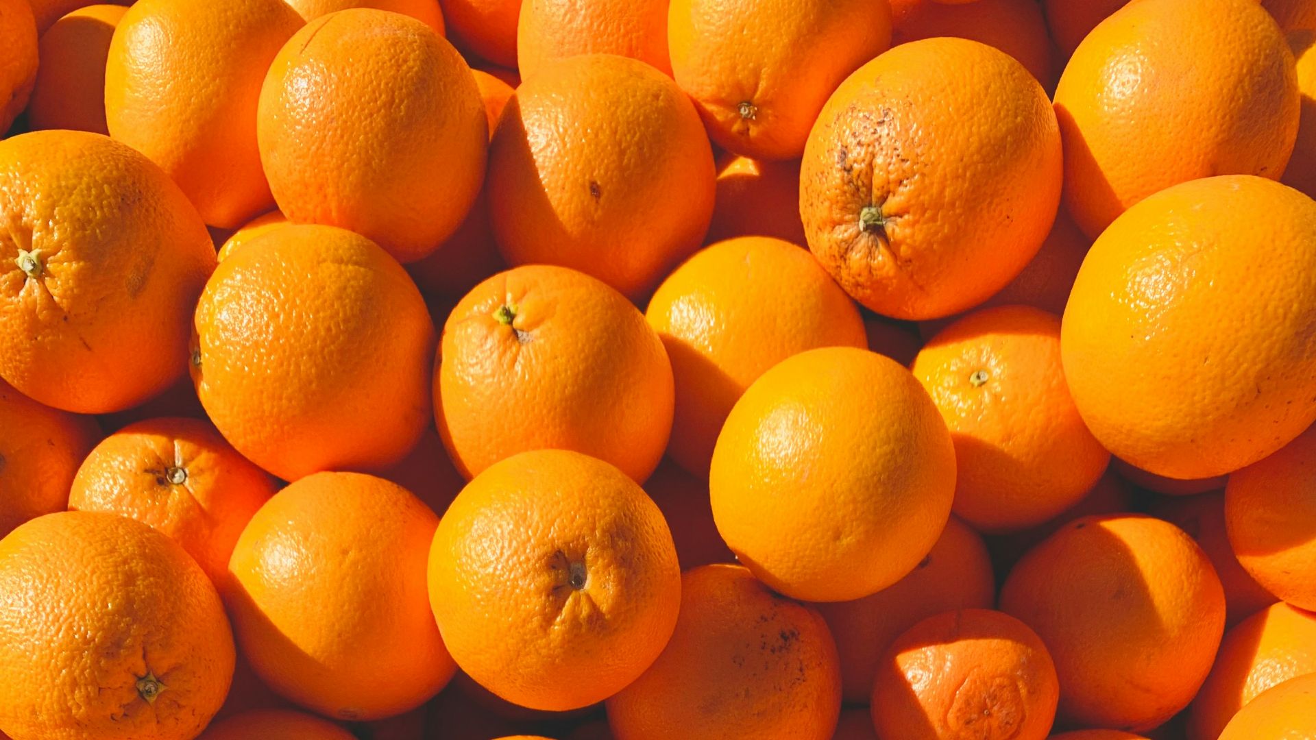orange fruits on white ceramic plate