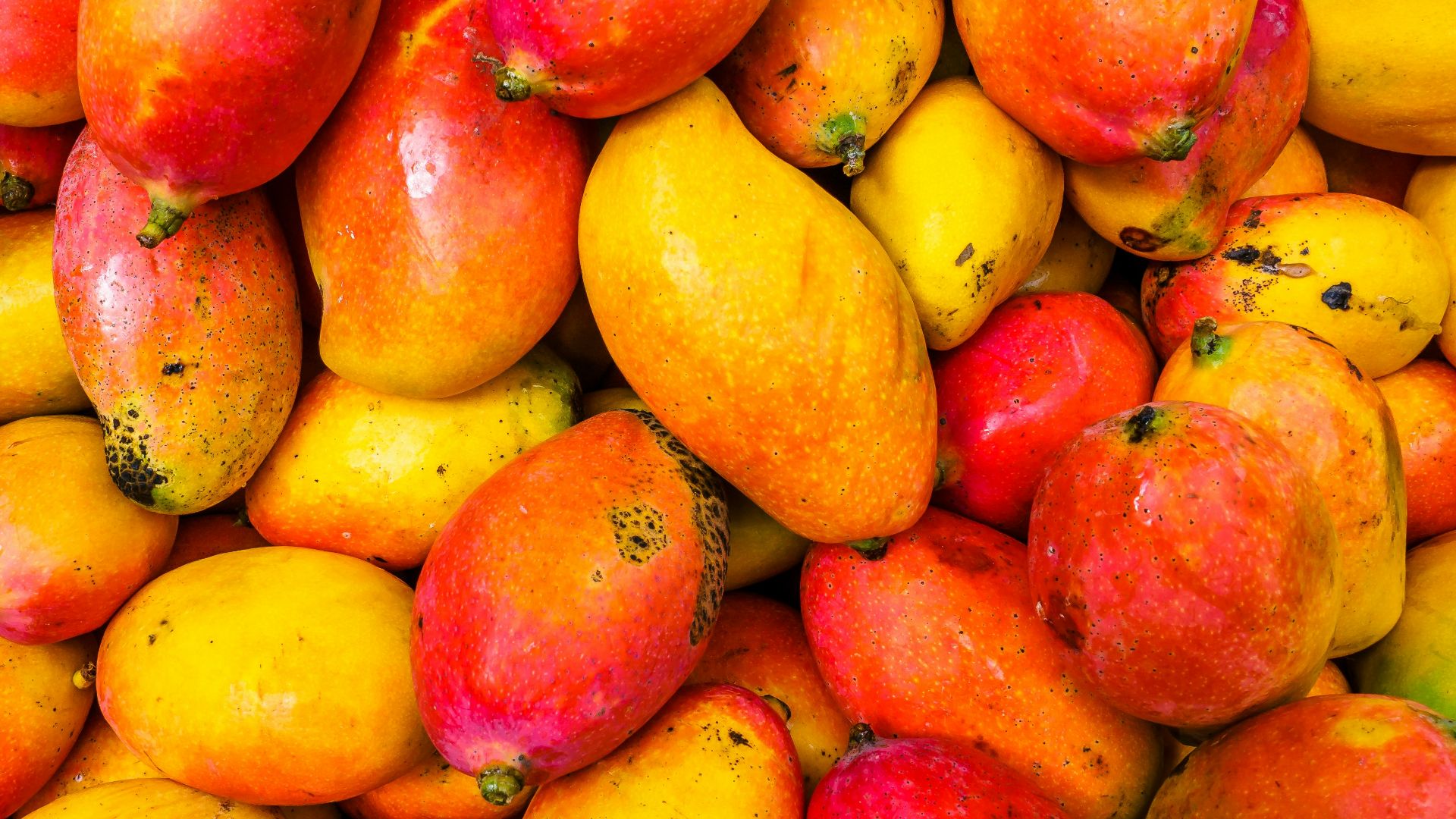 yellow and red fruit lot