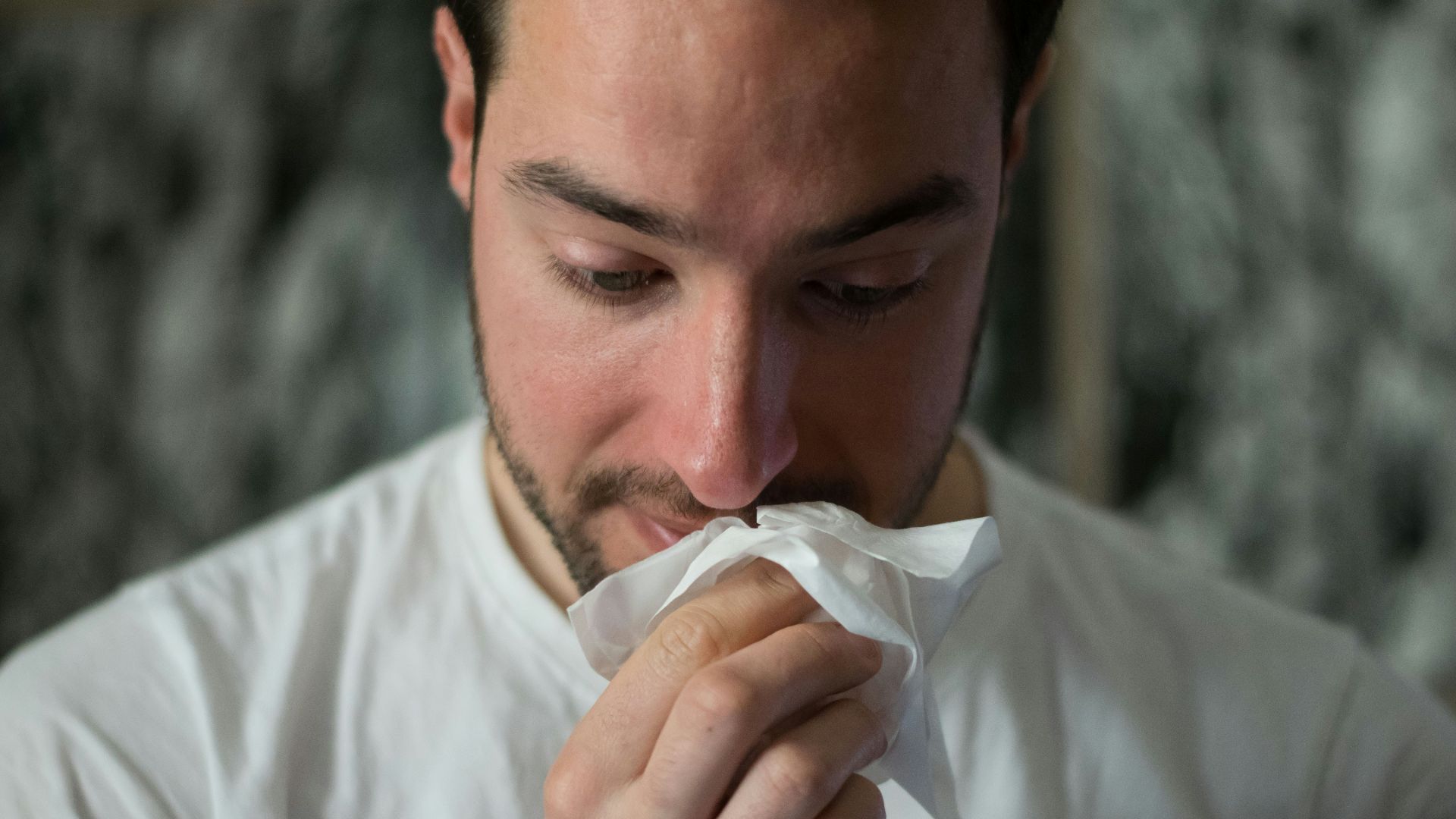 man wiping mouse with tissue paper