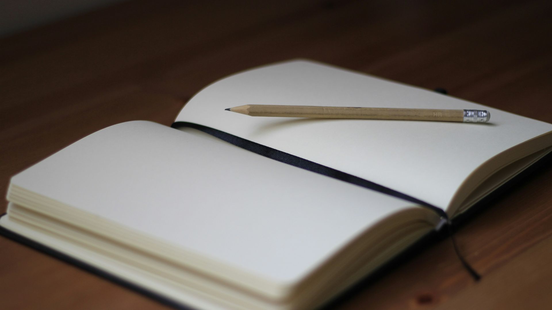 brown pencil on white book page