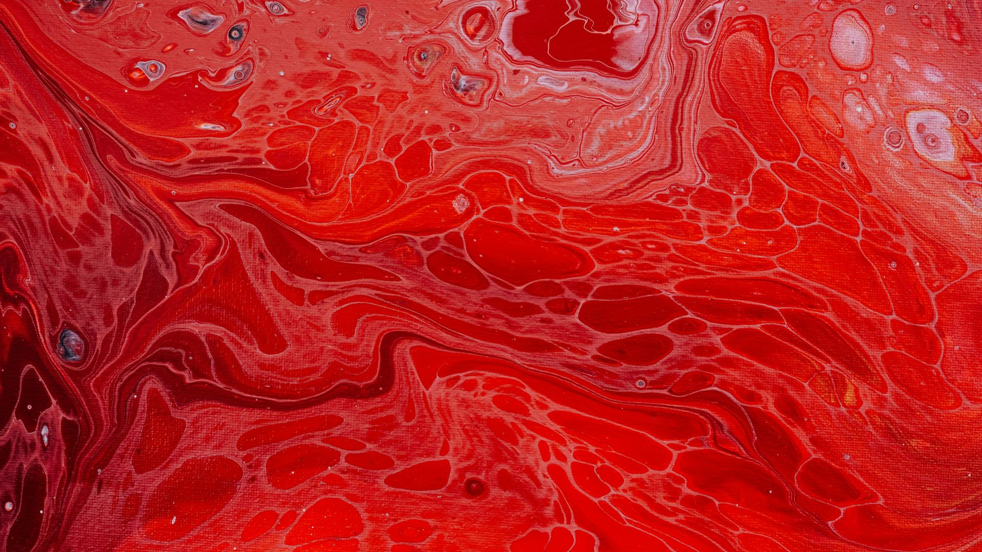 red and white abstract painting